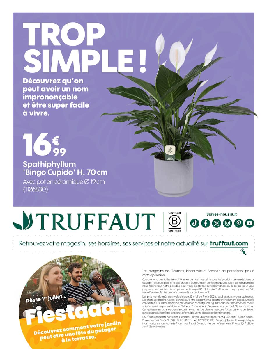  Catalog page 12 image 