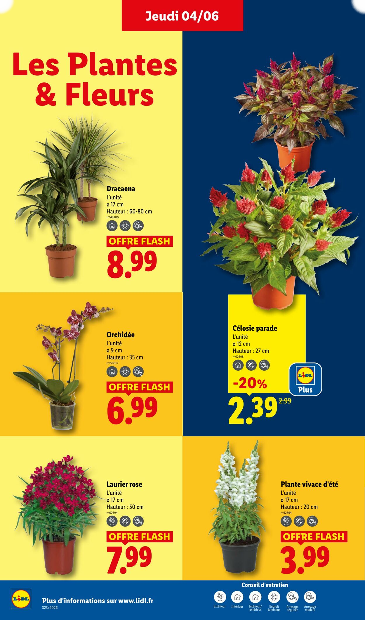 Lidl - Page 26