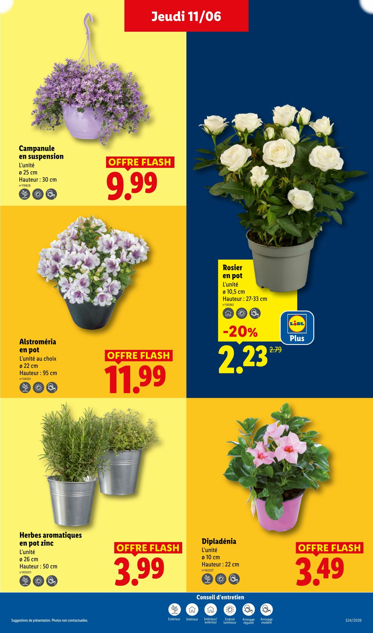 Lidl - Page 29