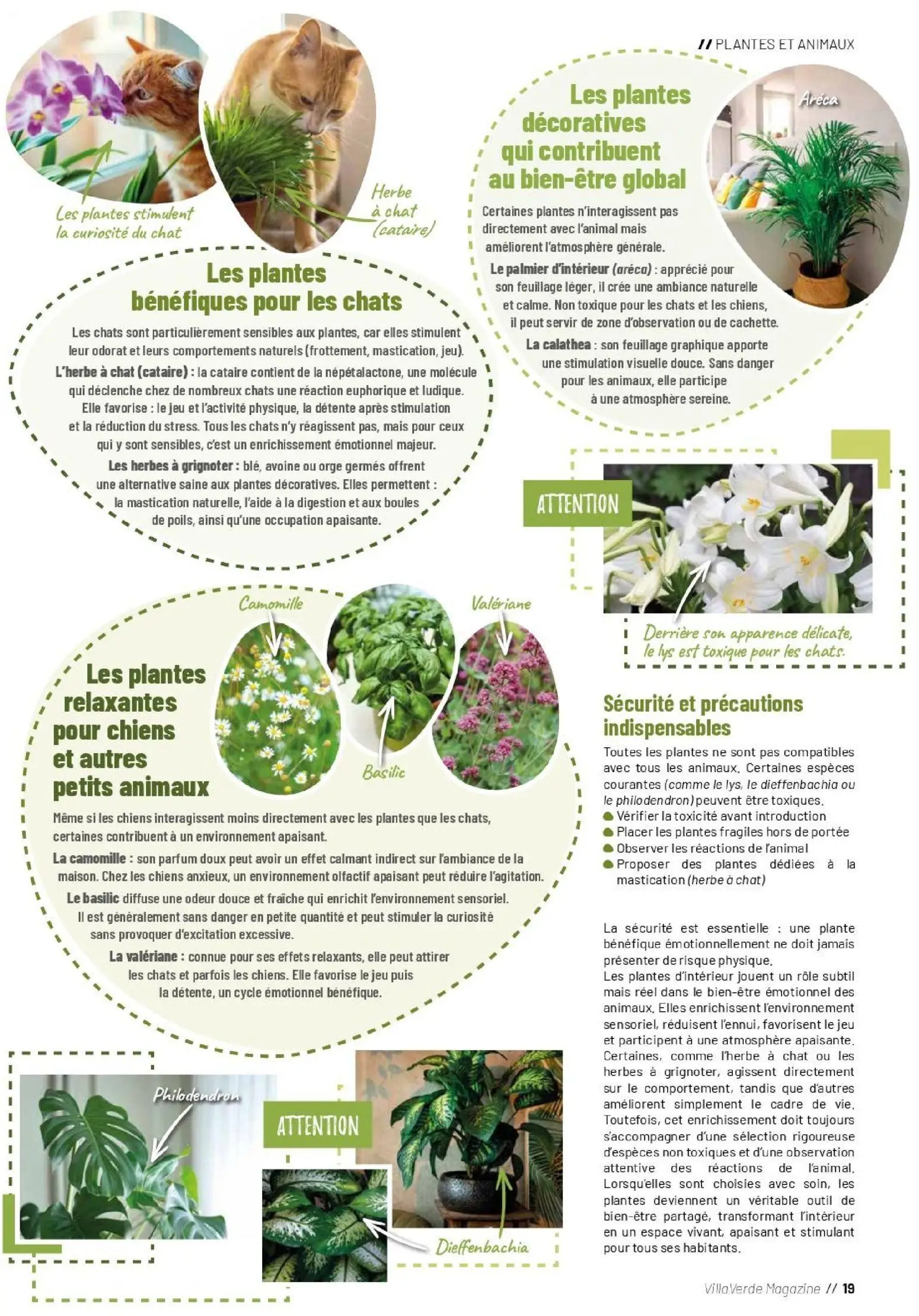  Catalog page 19 image 