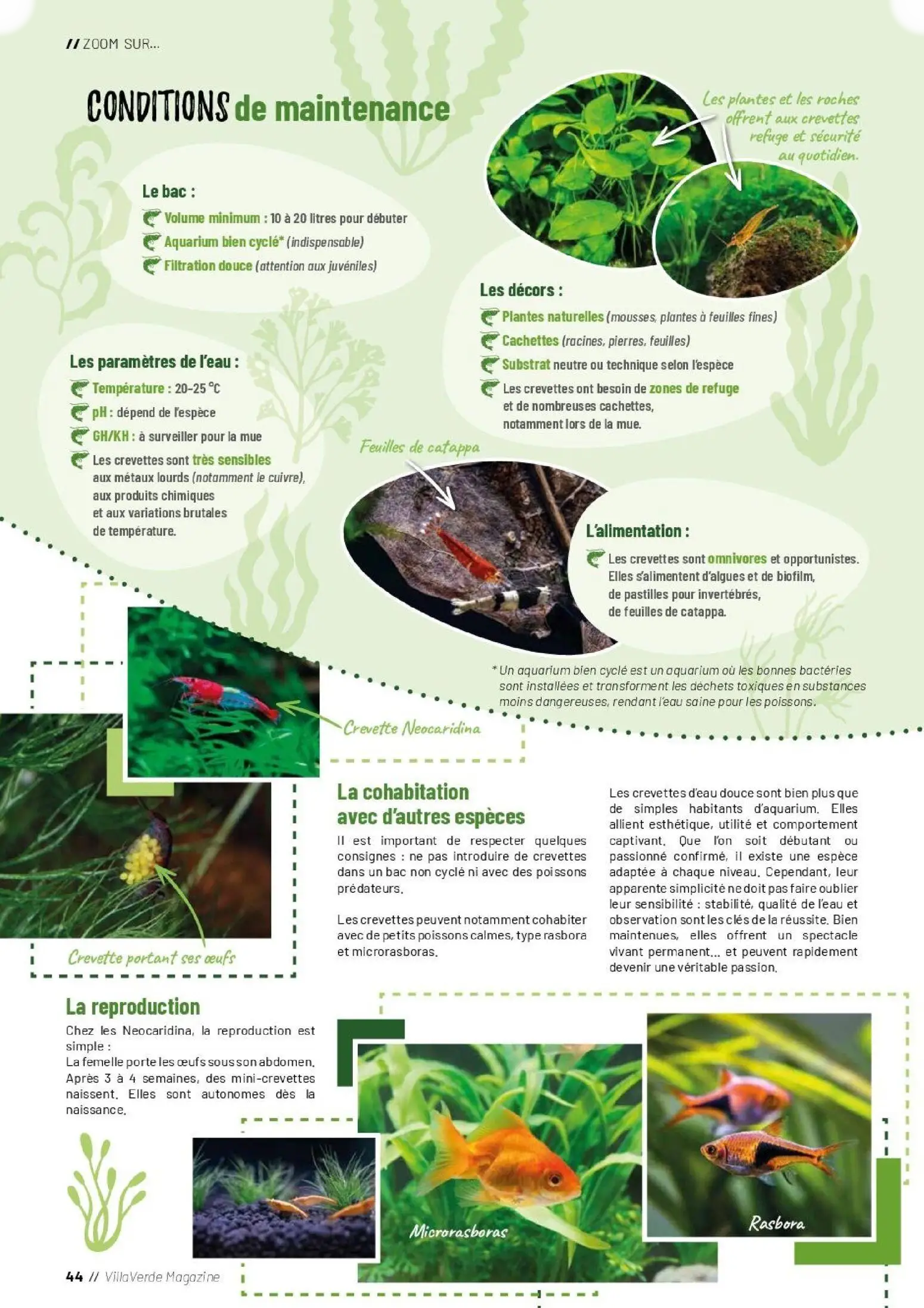  Catalog page 44 image 