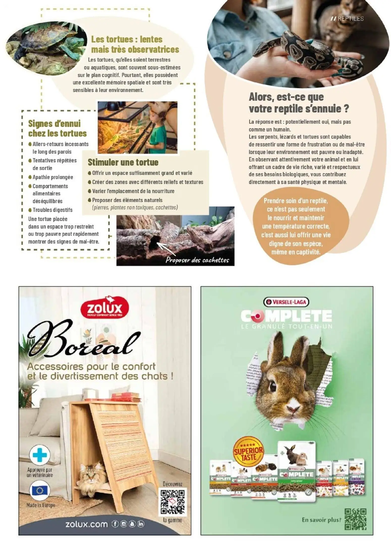  Catalog page 41 image 