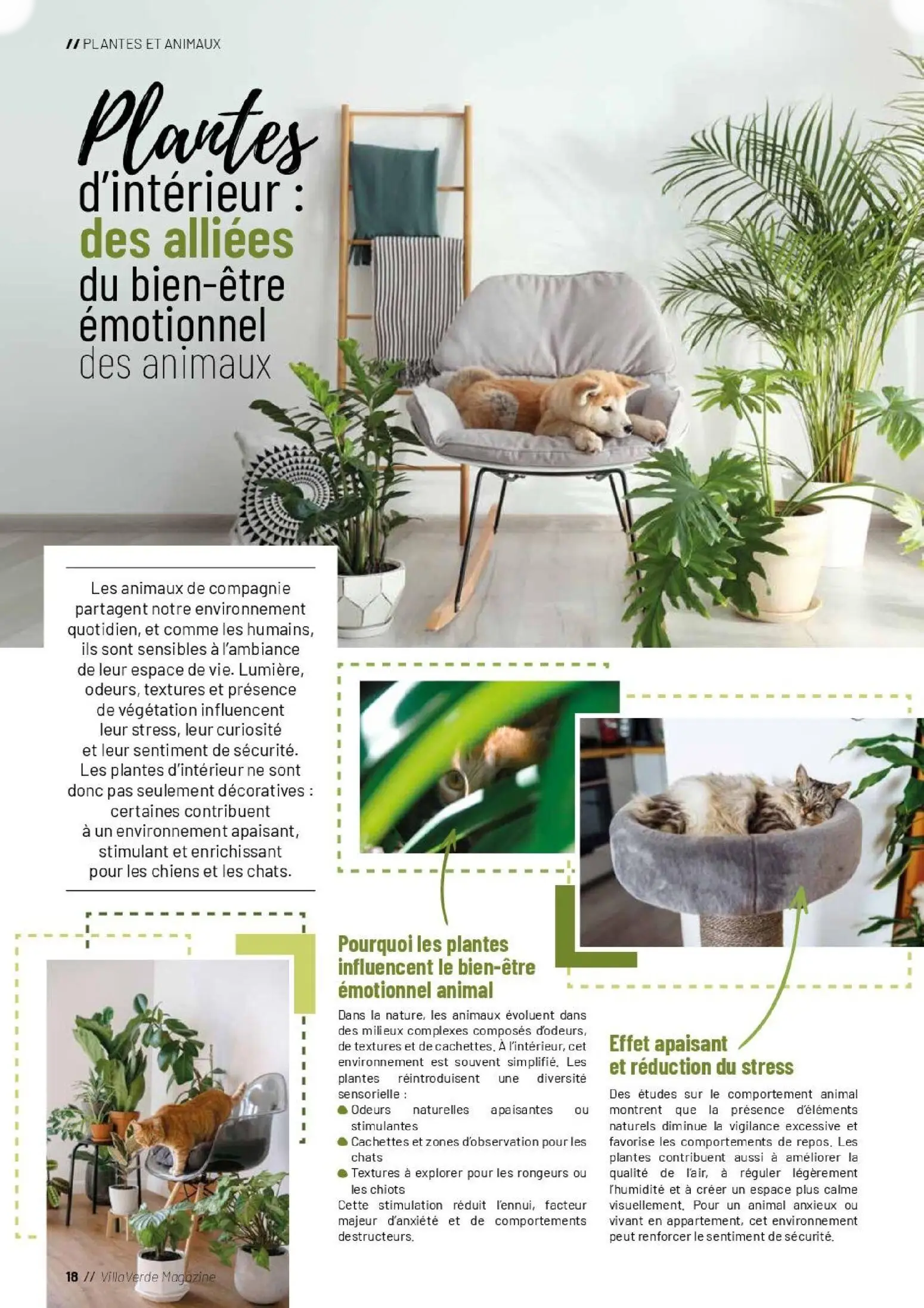  Catalog page 18 image 