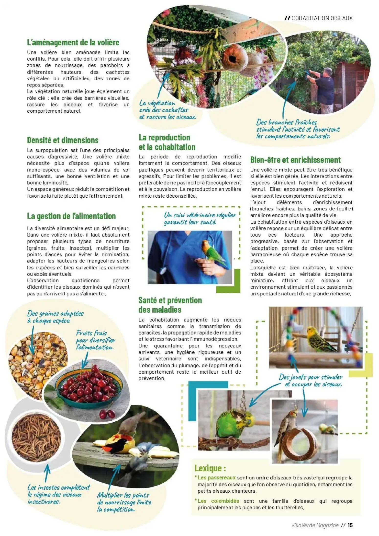  Catalog page 15 image 