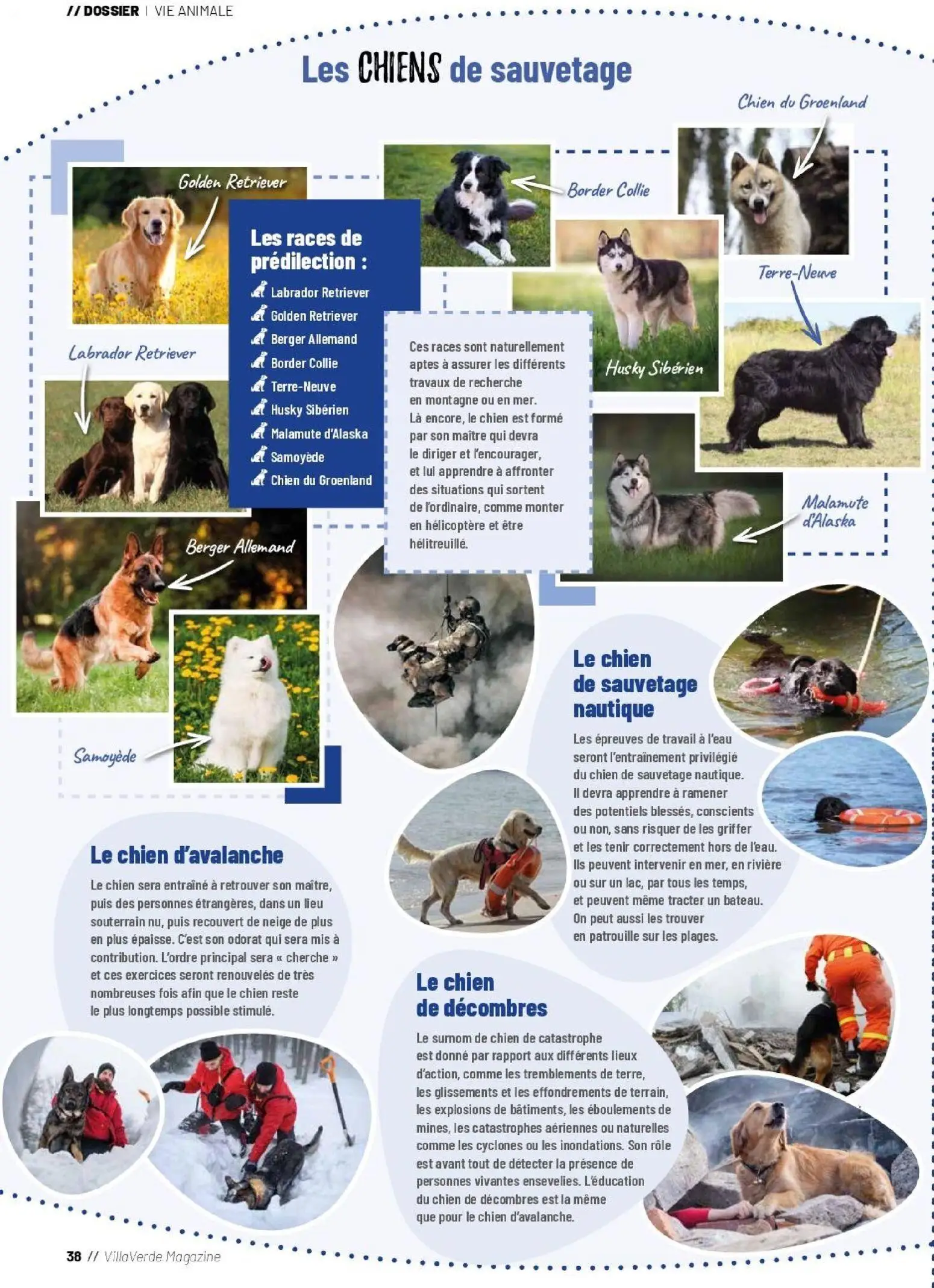  Catalog page 38 image 