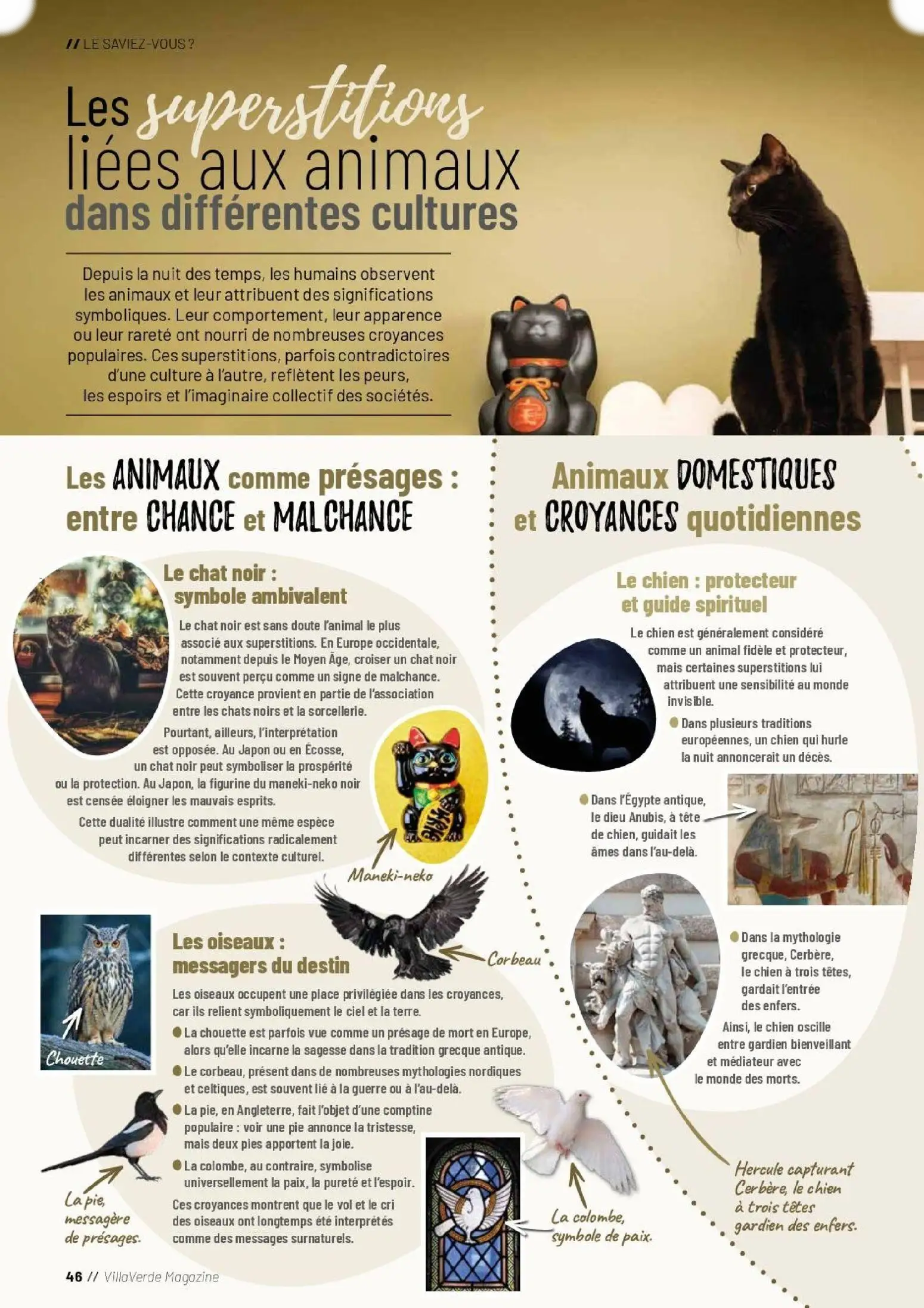  Catalog page 46 image 
