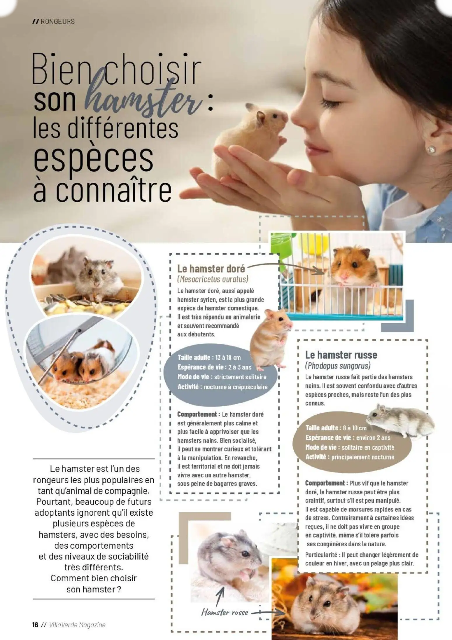  Catalog page 16 image 
