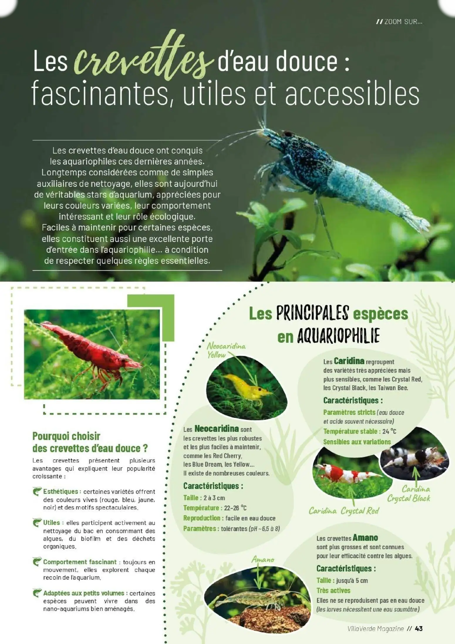  Catalog page 43 image 