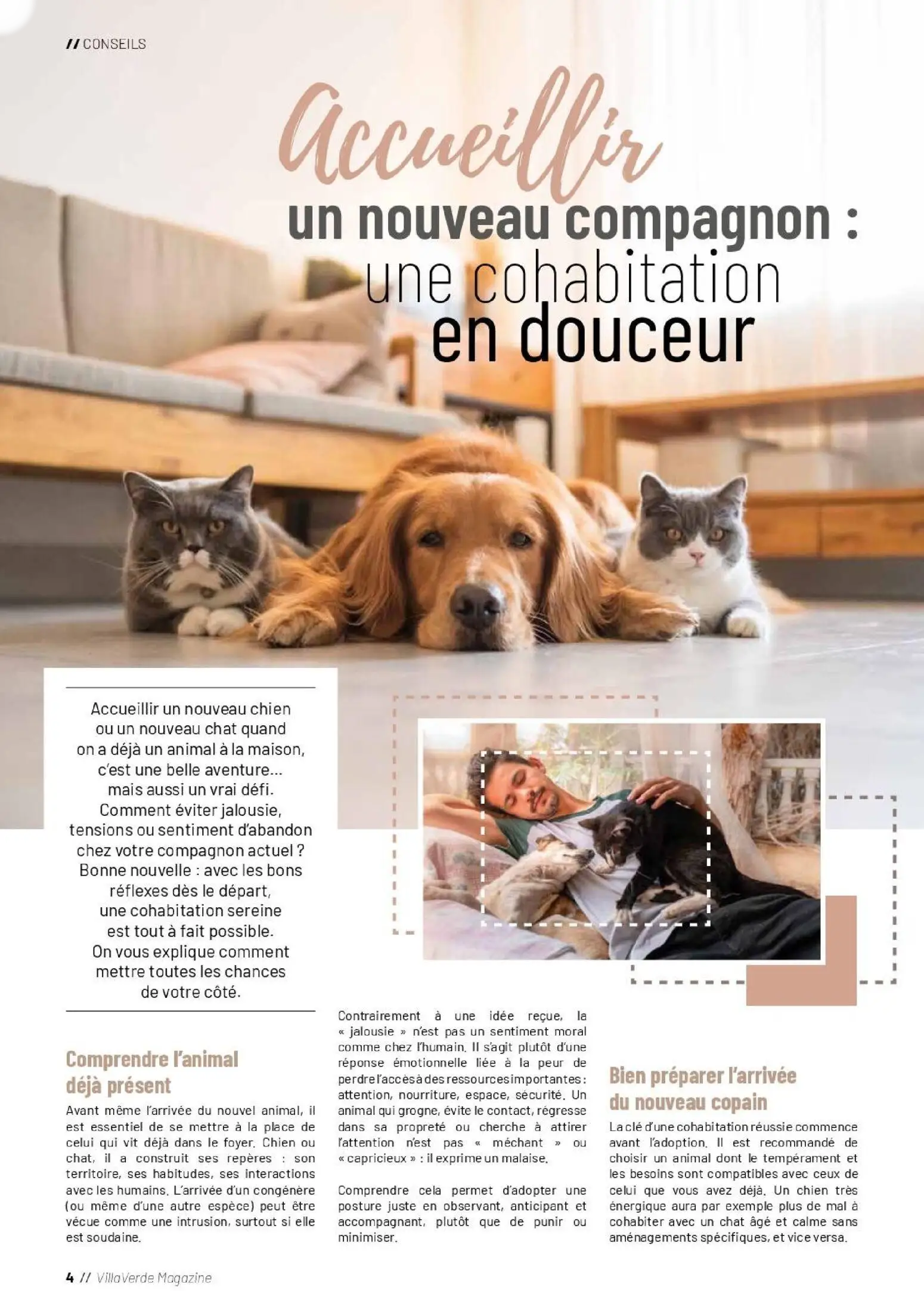  Catalog page 4 image 