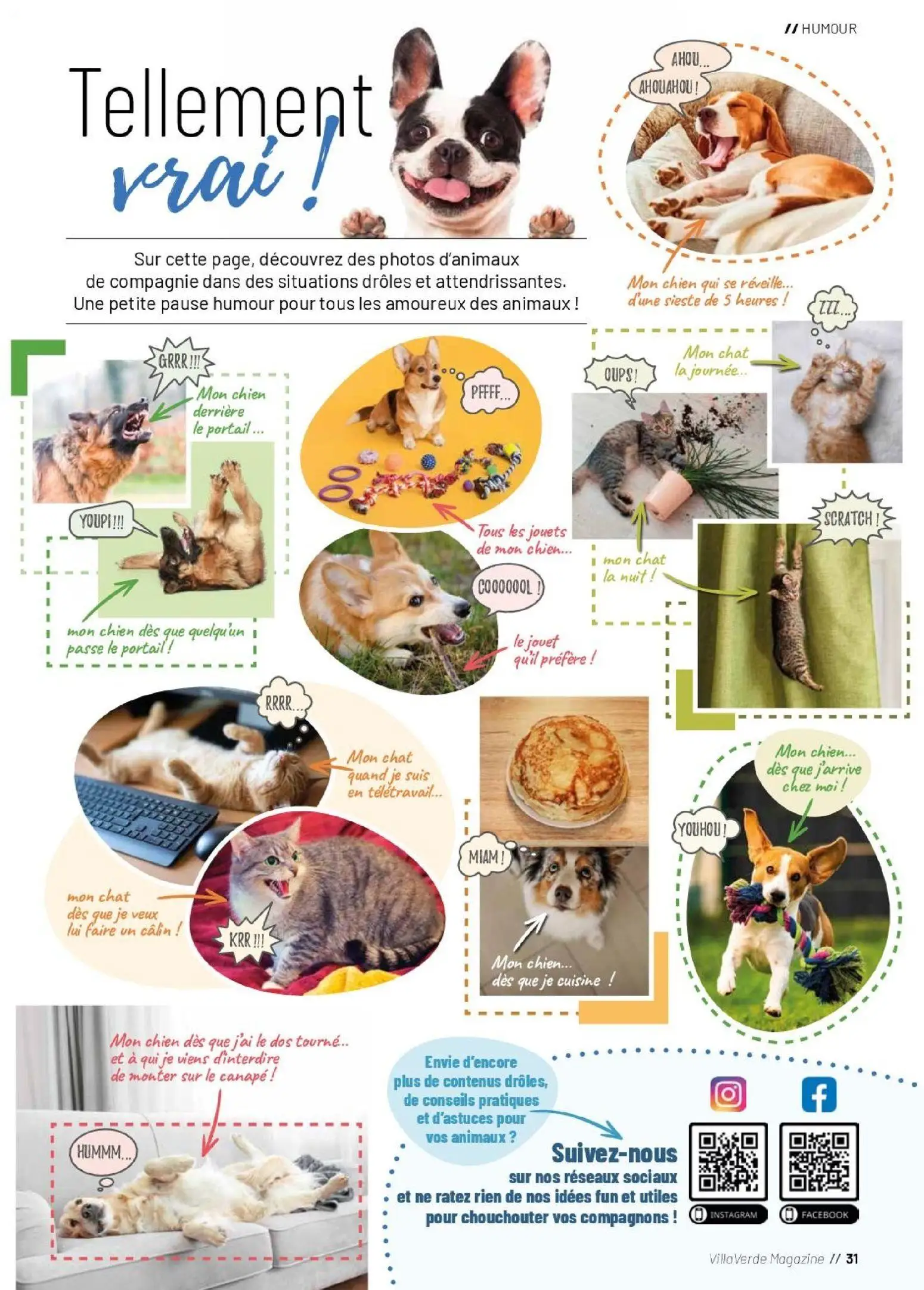  Catalog page 31 image 
