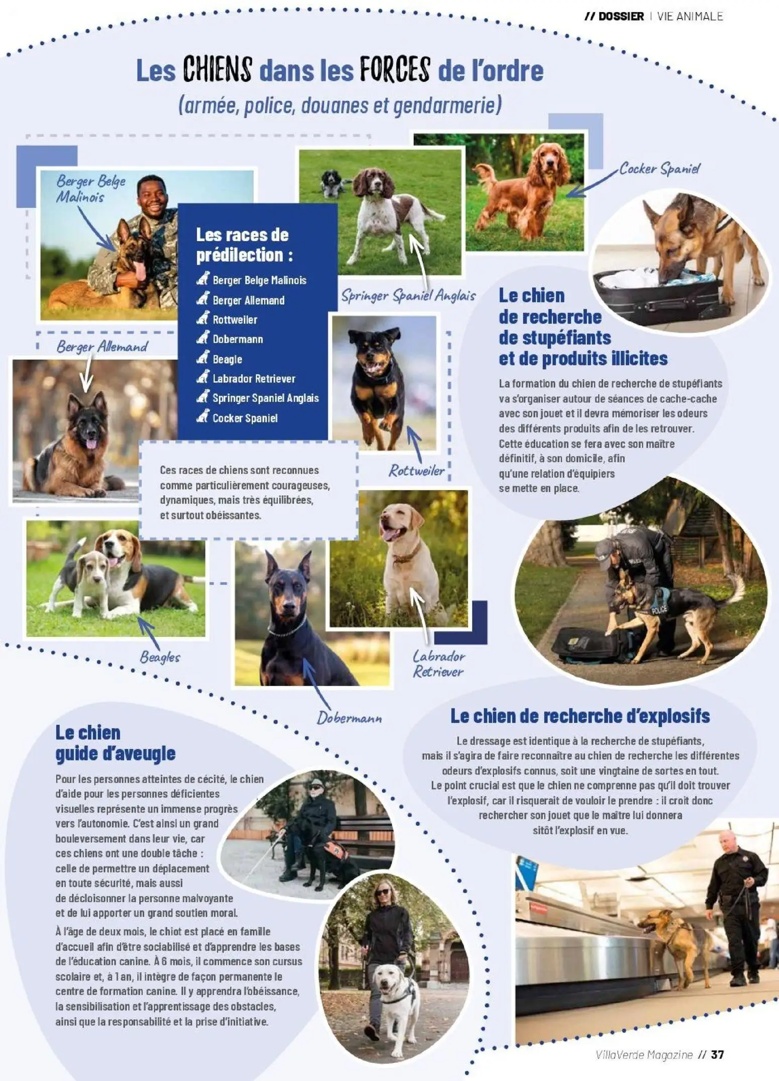  Catalog page 37 image 