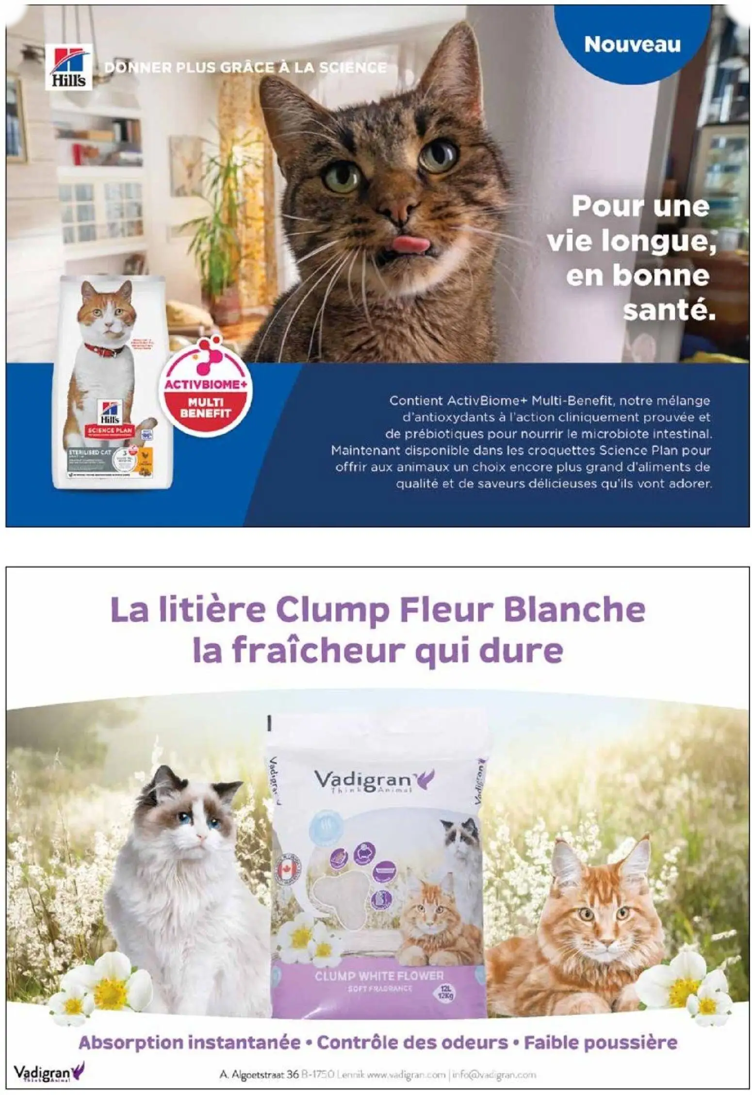 Catalog page 10 image 