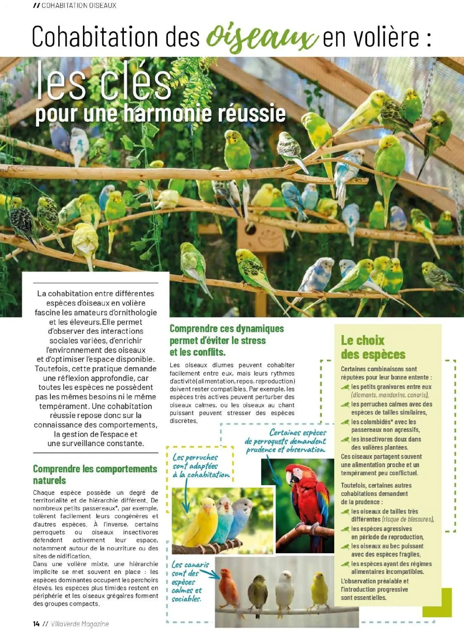  Catalog page 14 image 