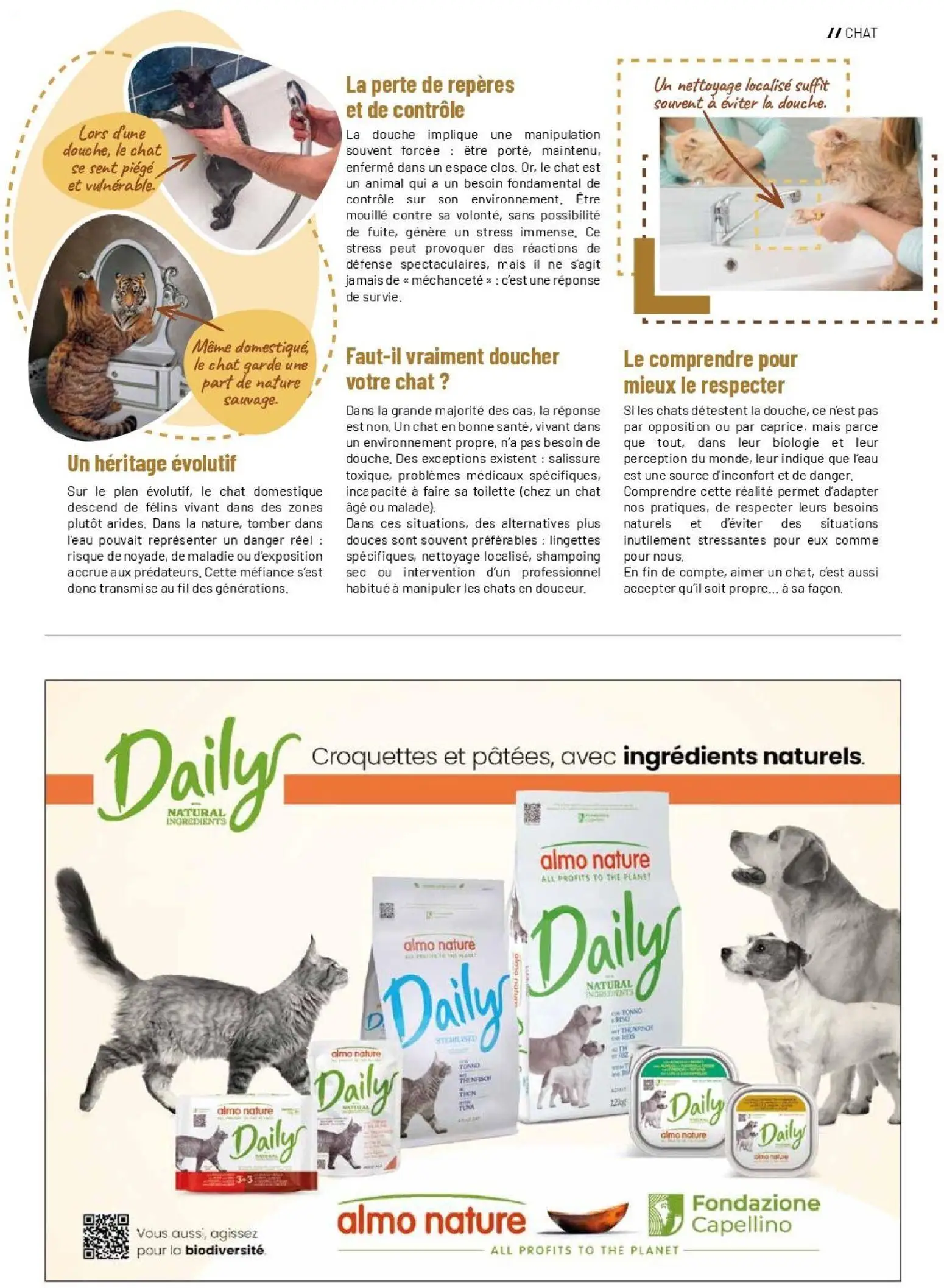  Catalog page 29 image 