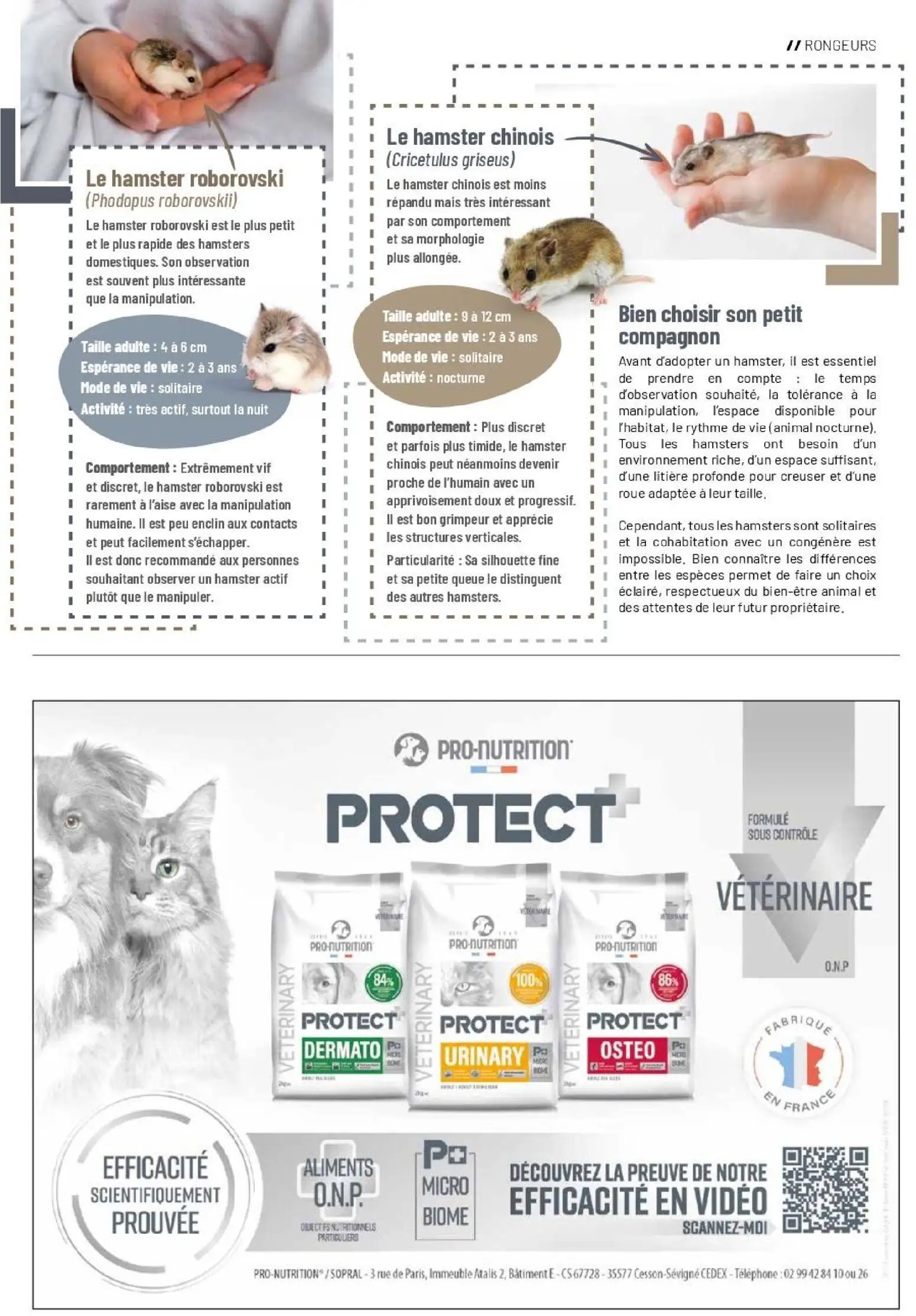  Catalog page 17 image 