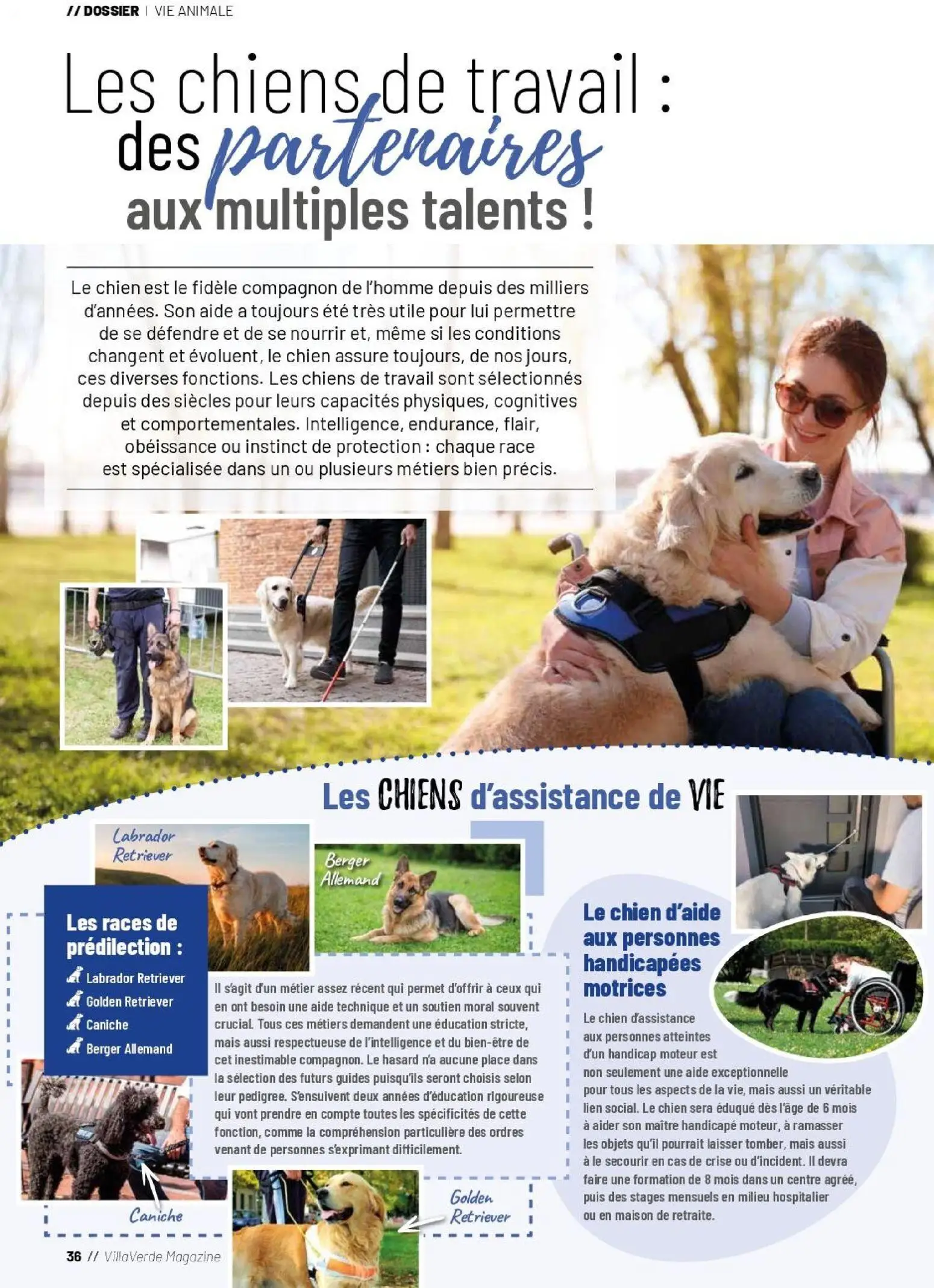  Catalog page 36 image 