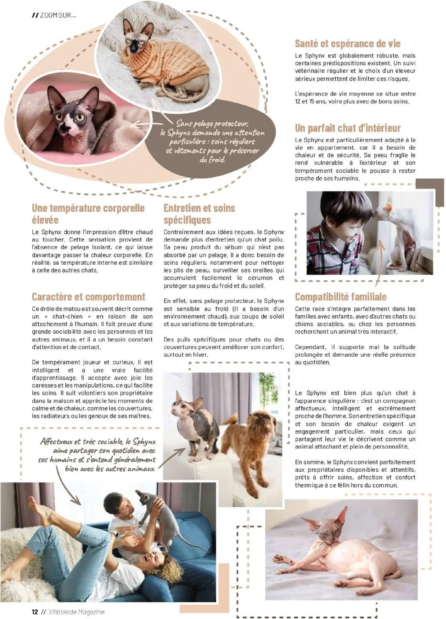  Catalog page 12 image 
