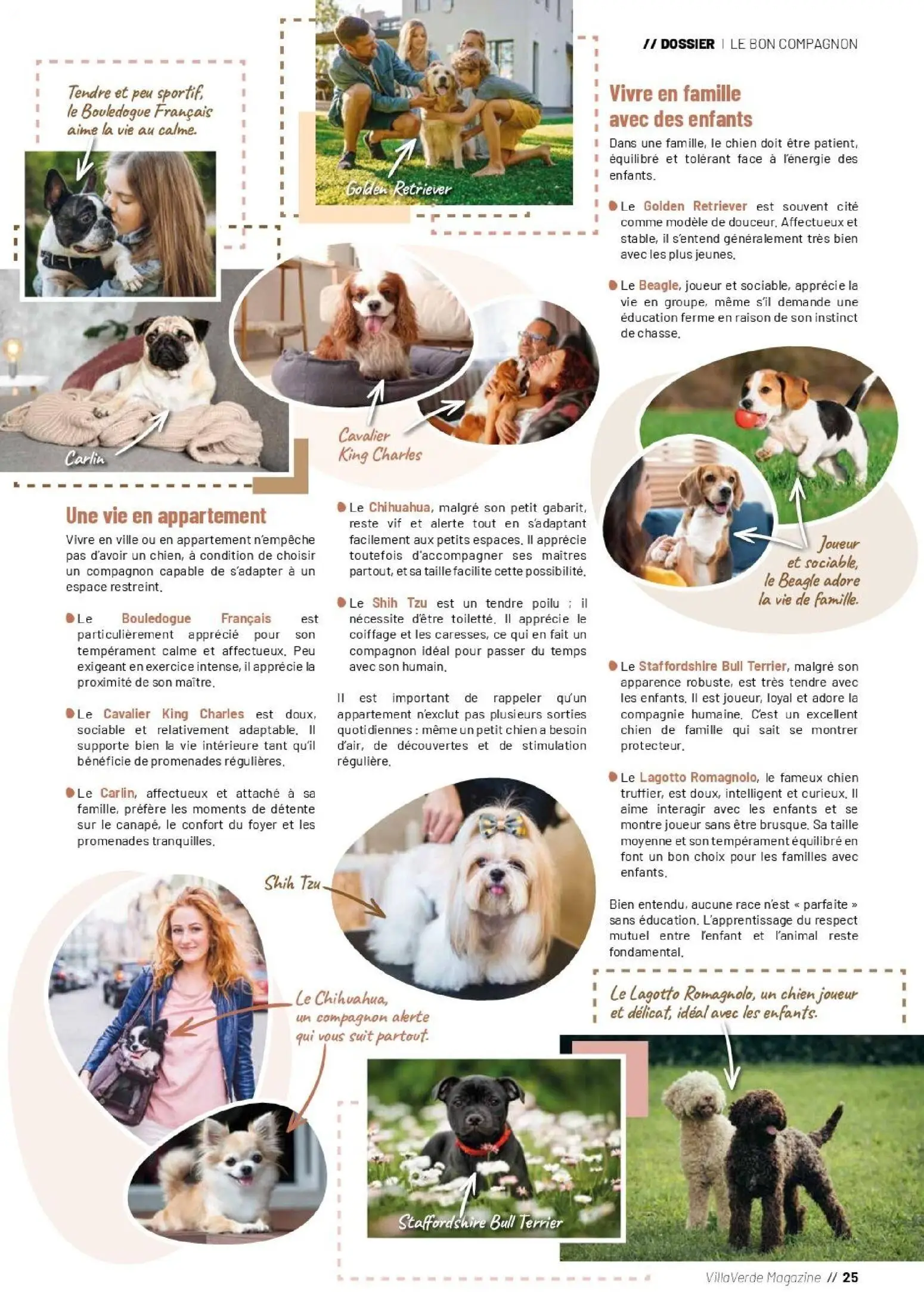  Catalog page 25 image 