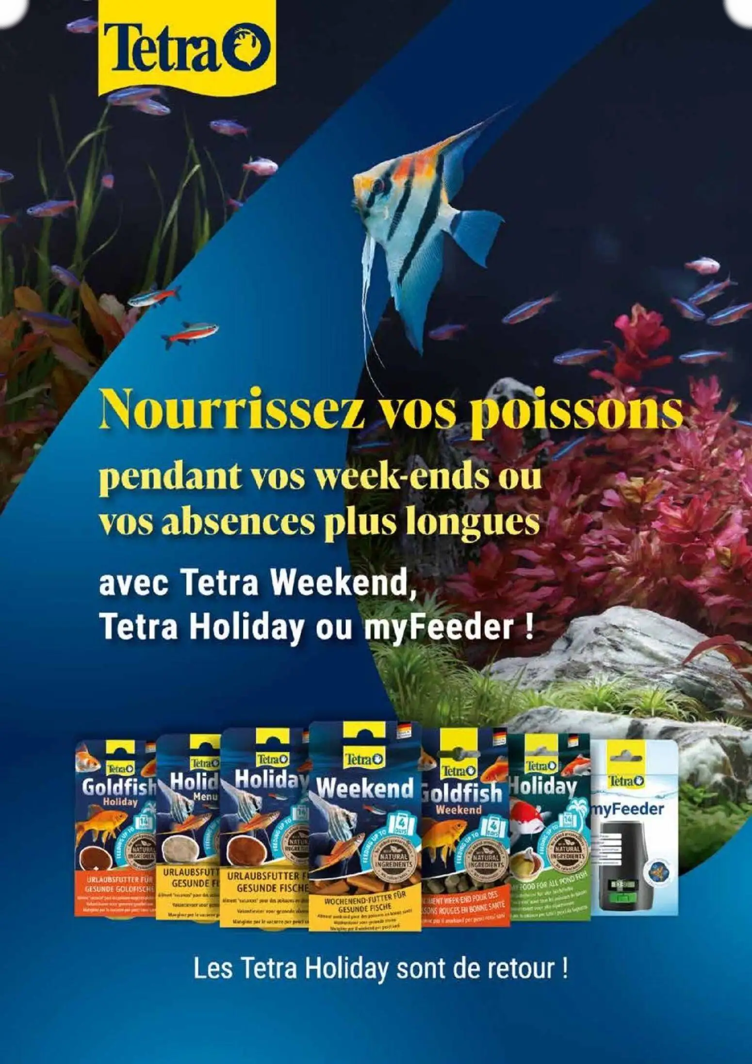  Catalog page 42 image 