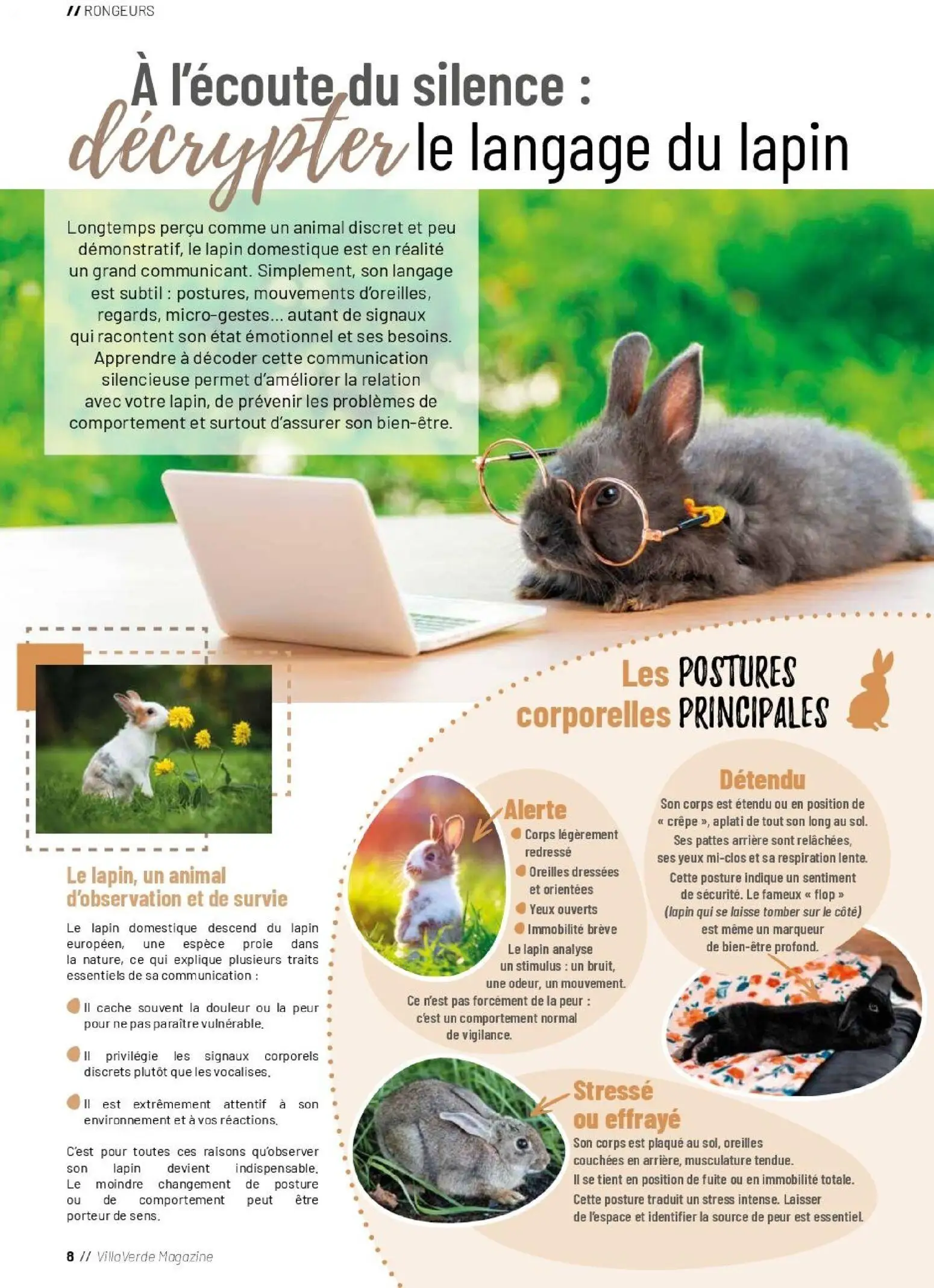  Catalog page 8 image 