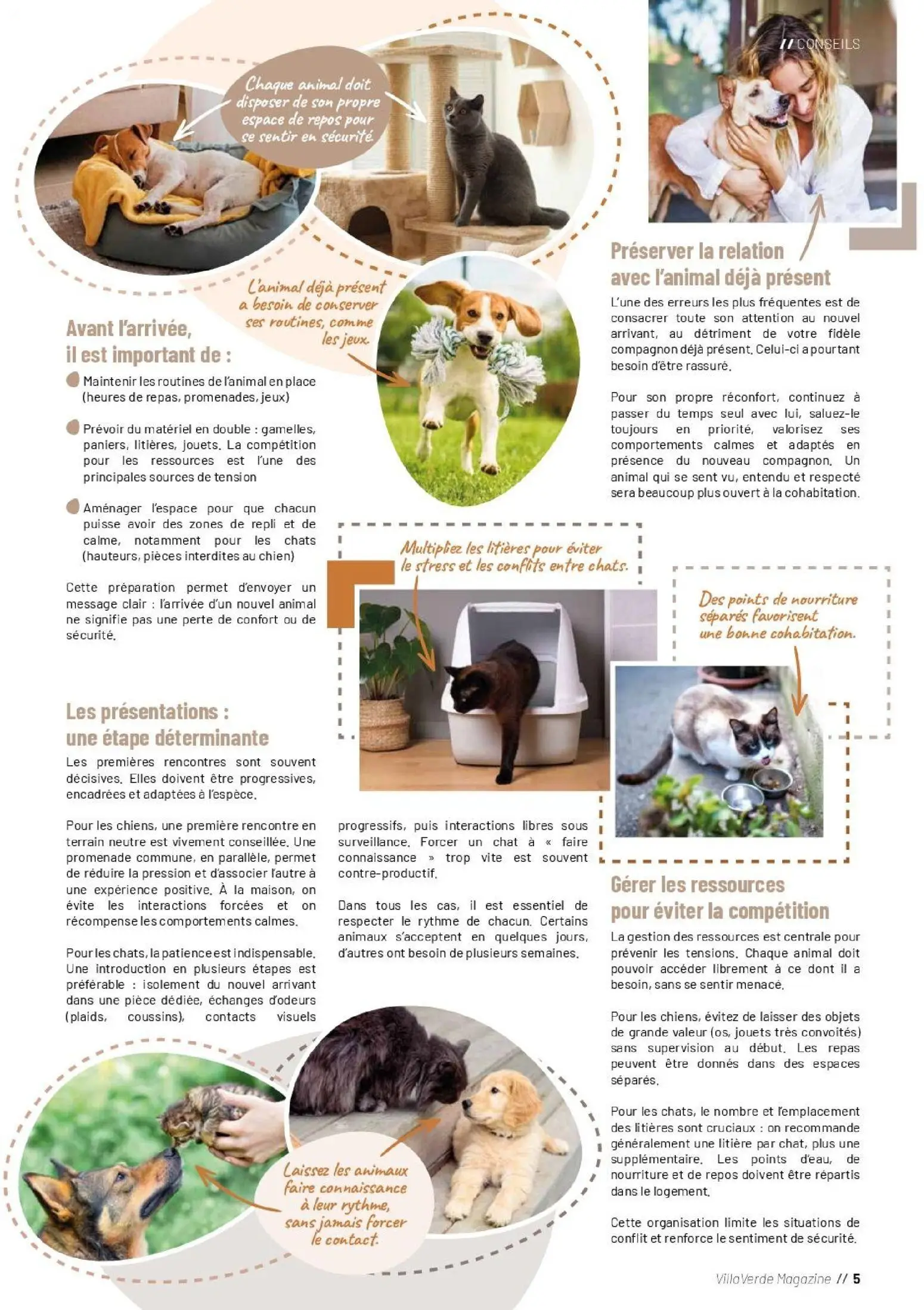  Catalog page 5 image 