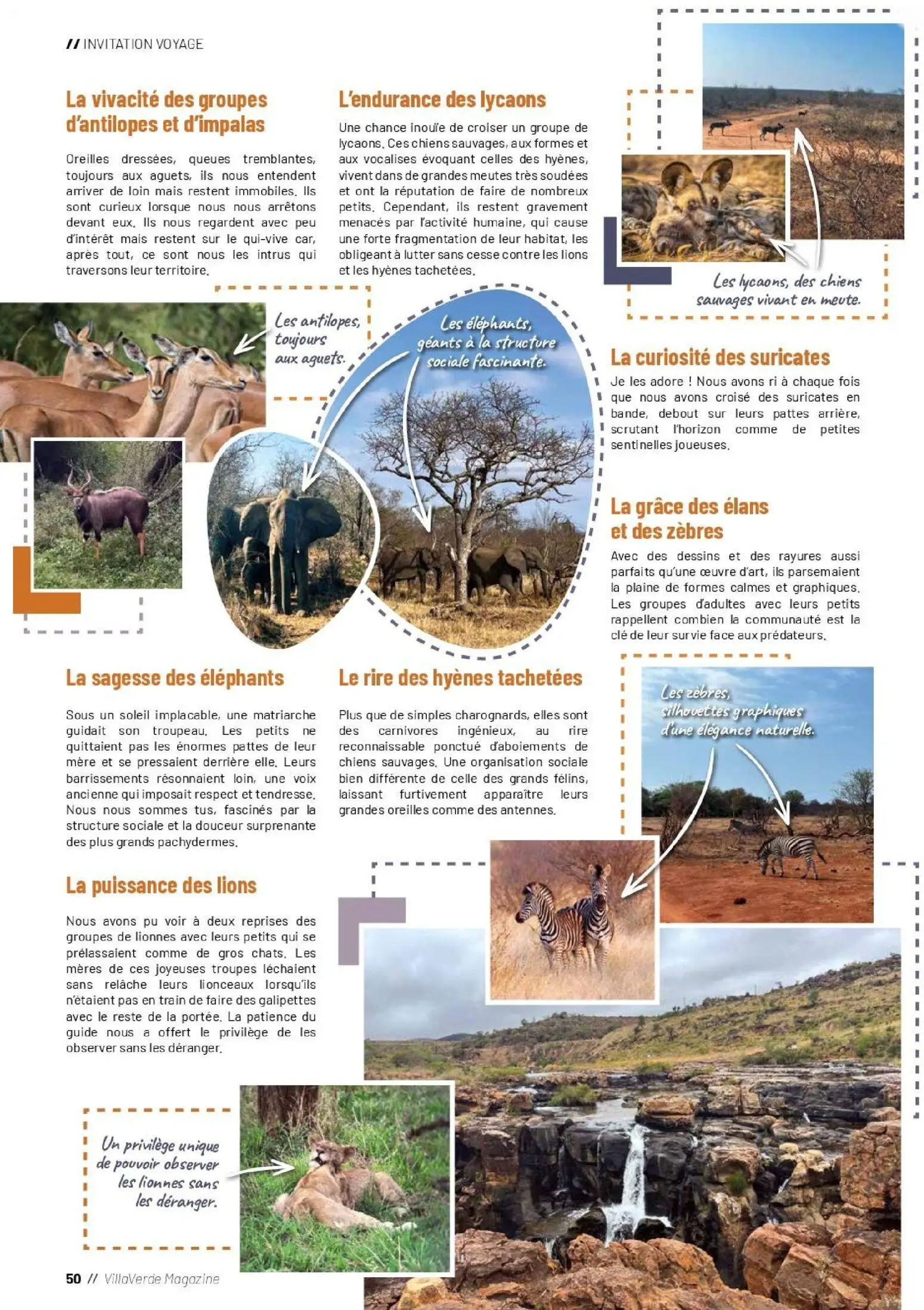  Catalog page 50 image 