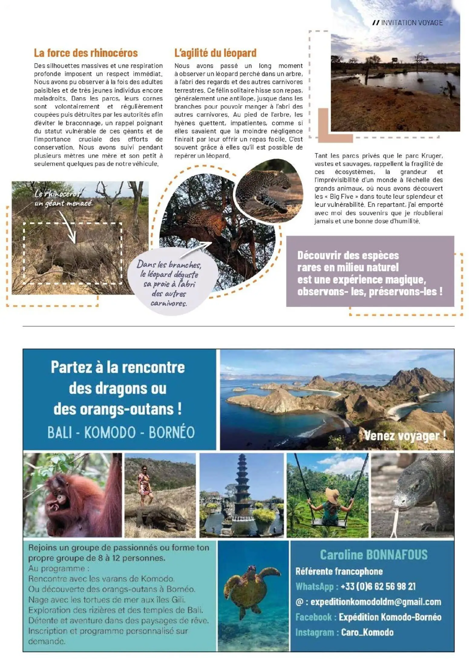  Catalog page 51 image 