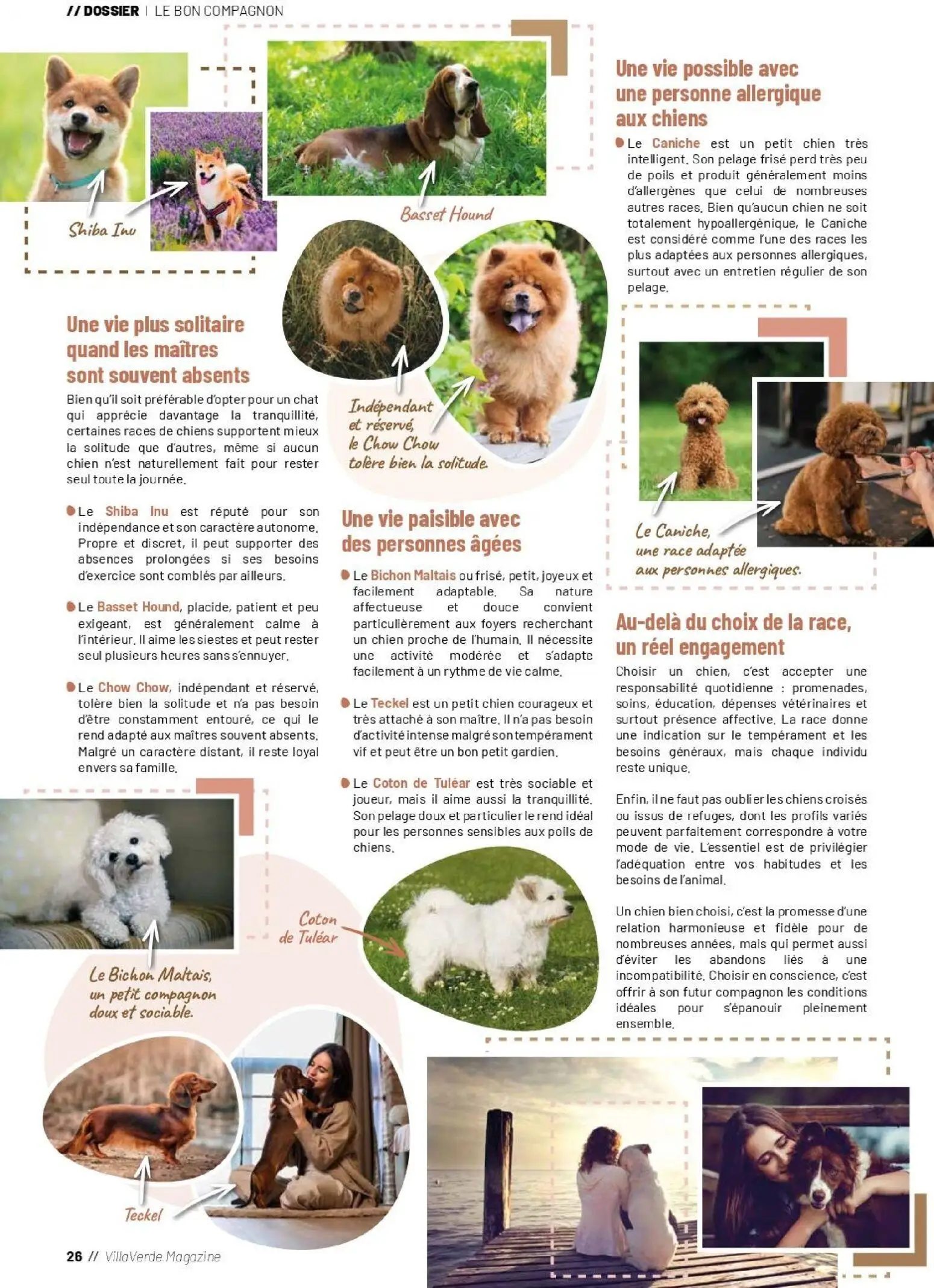  Catalog page 26 image 