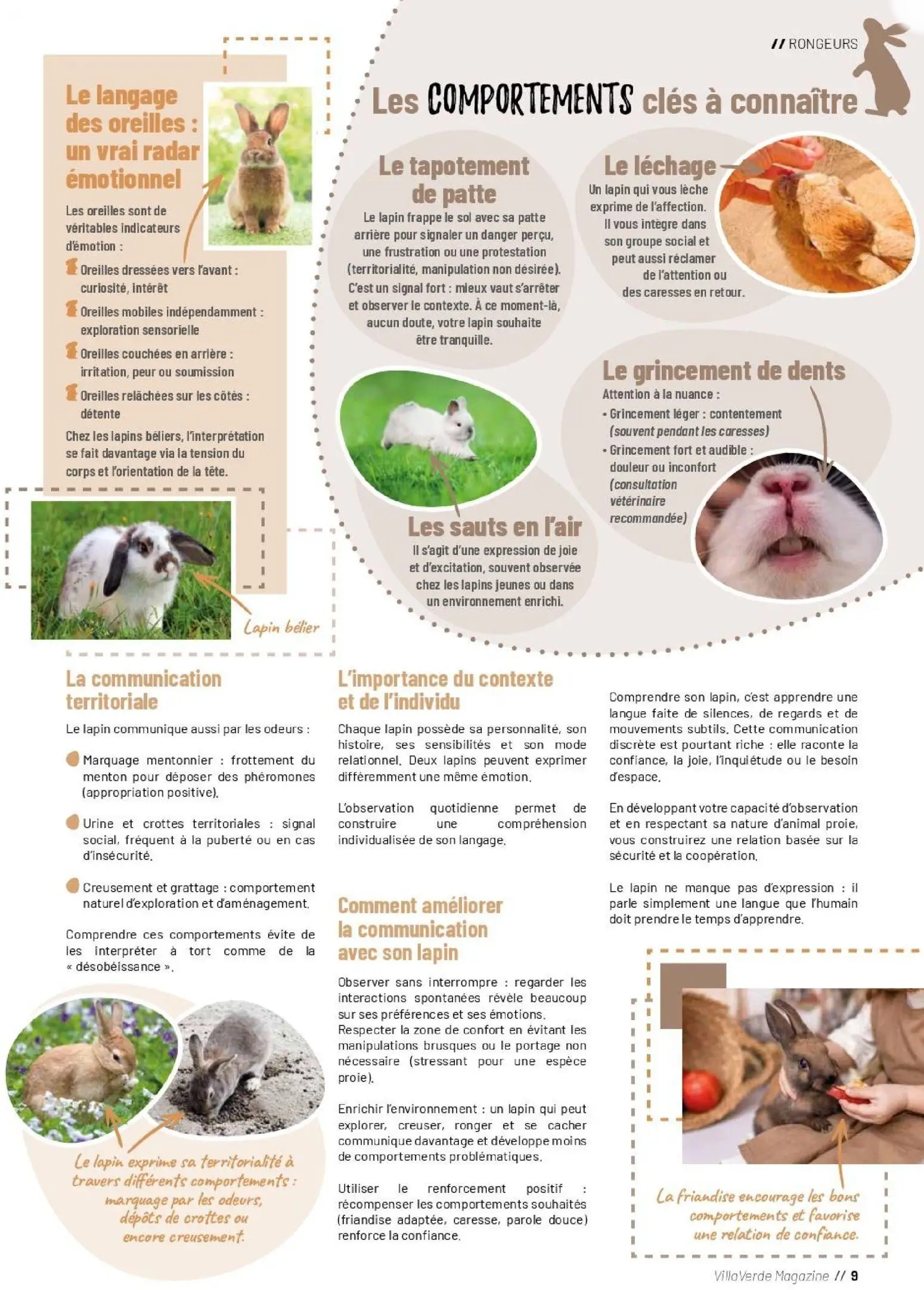  Catalog page 9 image 