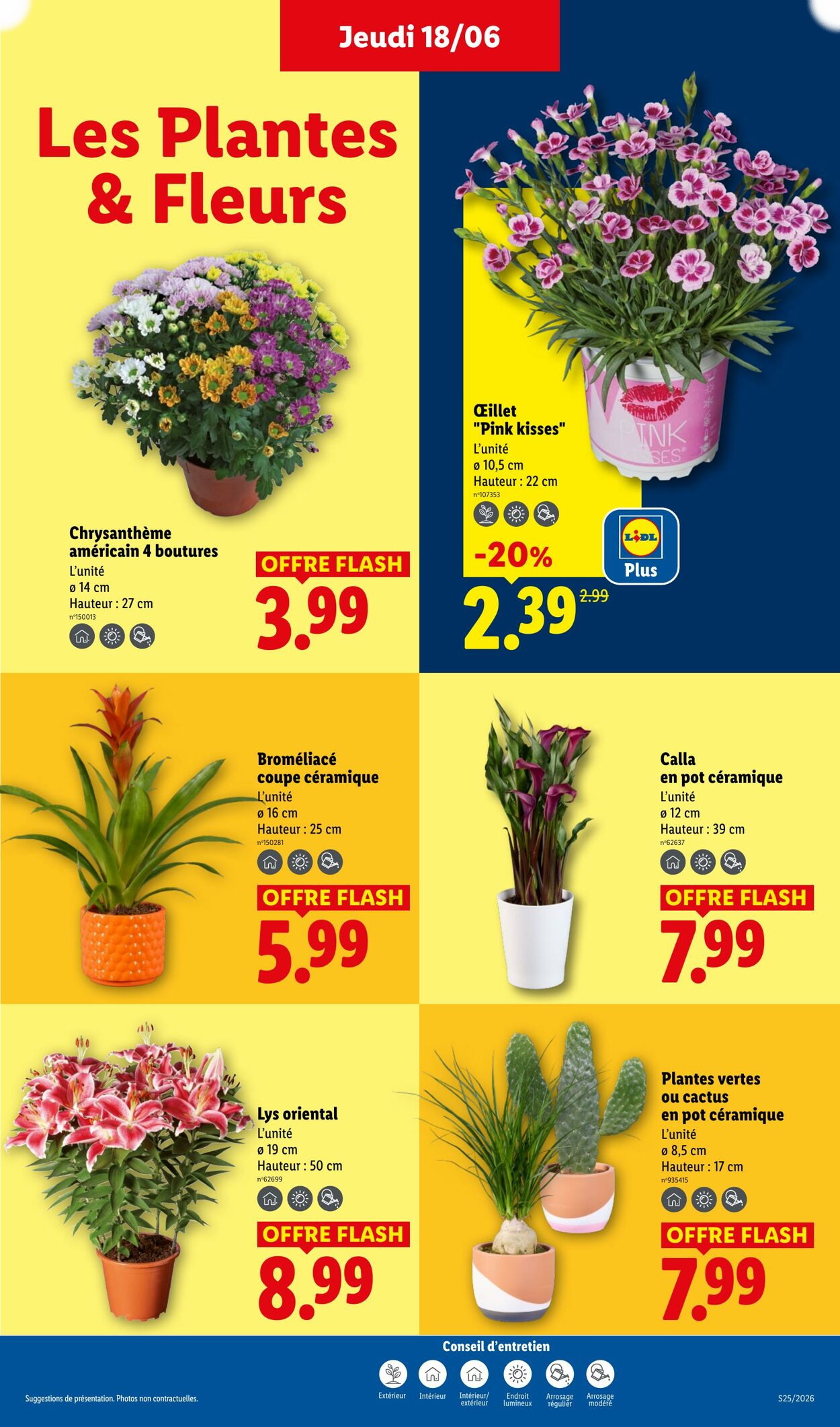 Lidl - Page 27