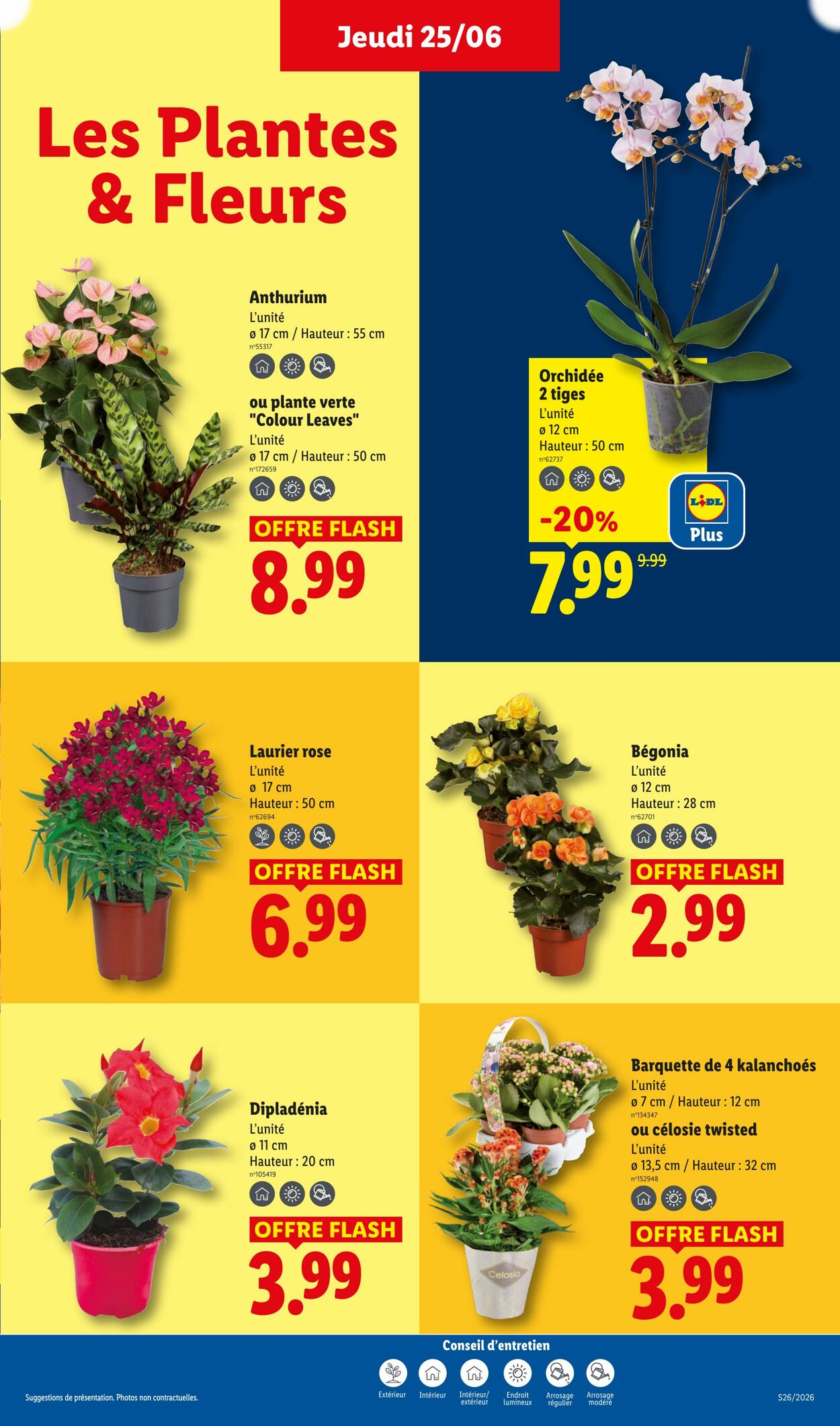  Catalog page 29 image 