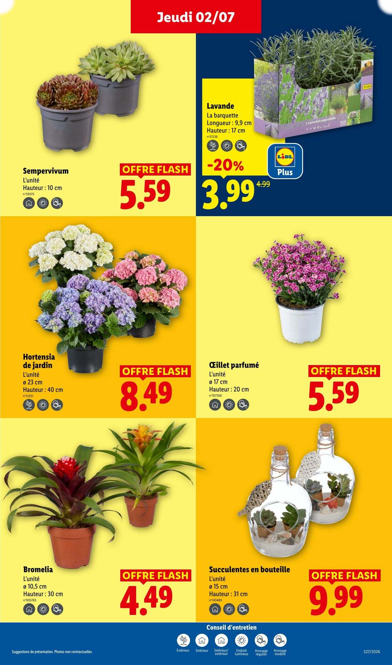Lidl - Page 25