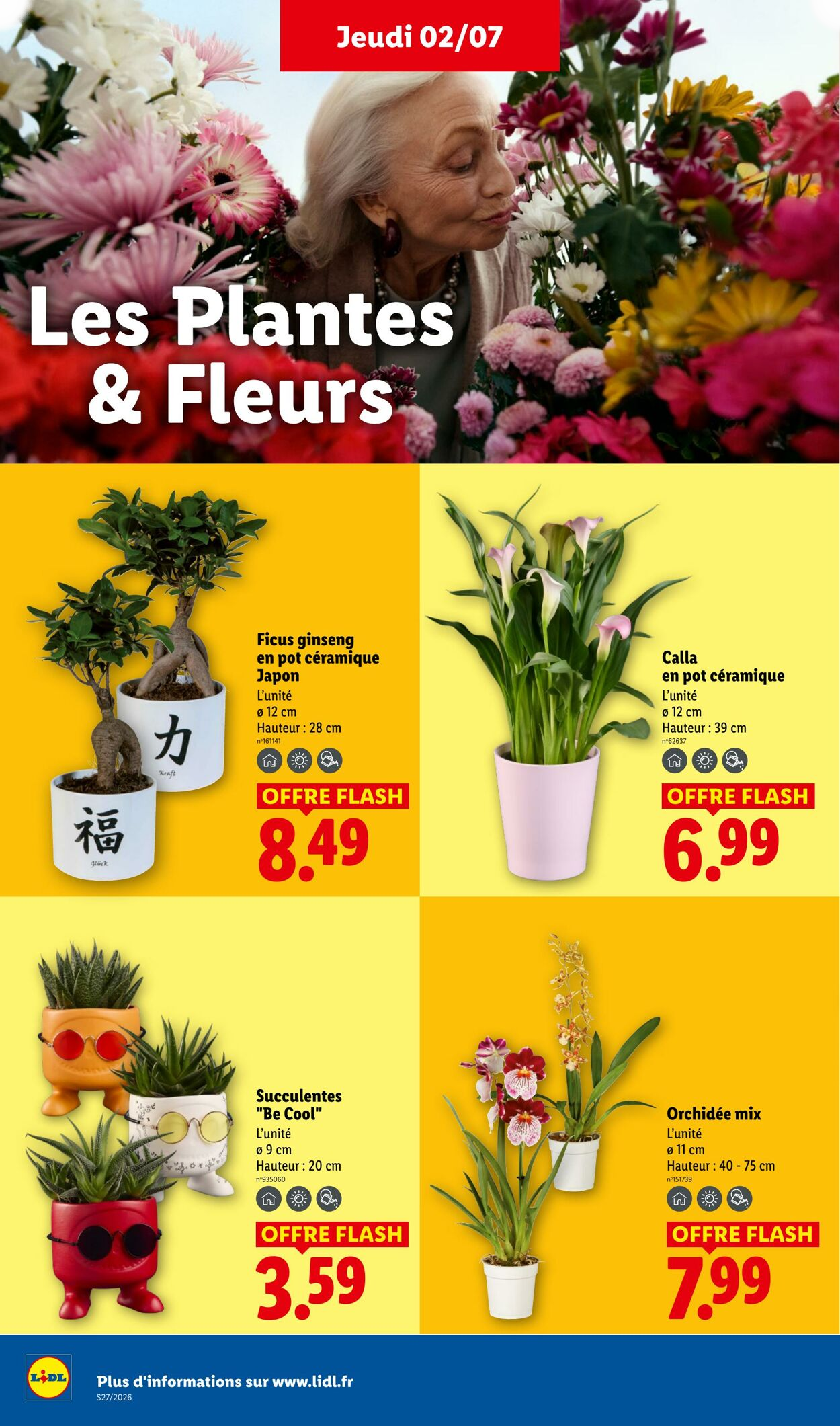 Lidl - Page 24