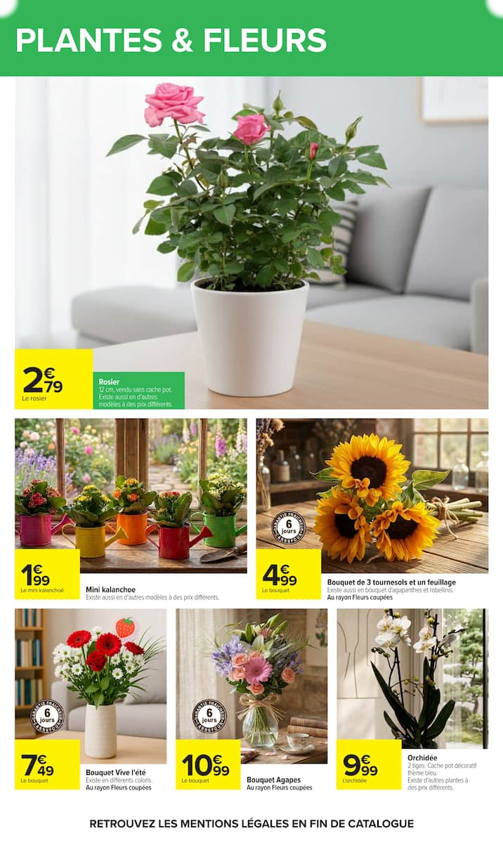 Carrefour - Page 51