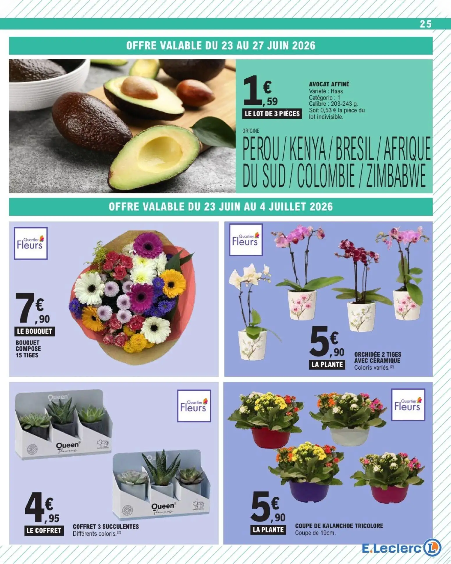  Catalog page 25 image 