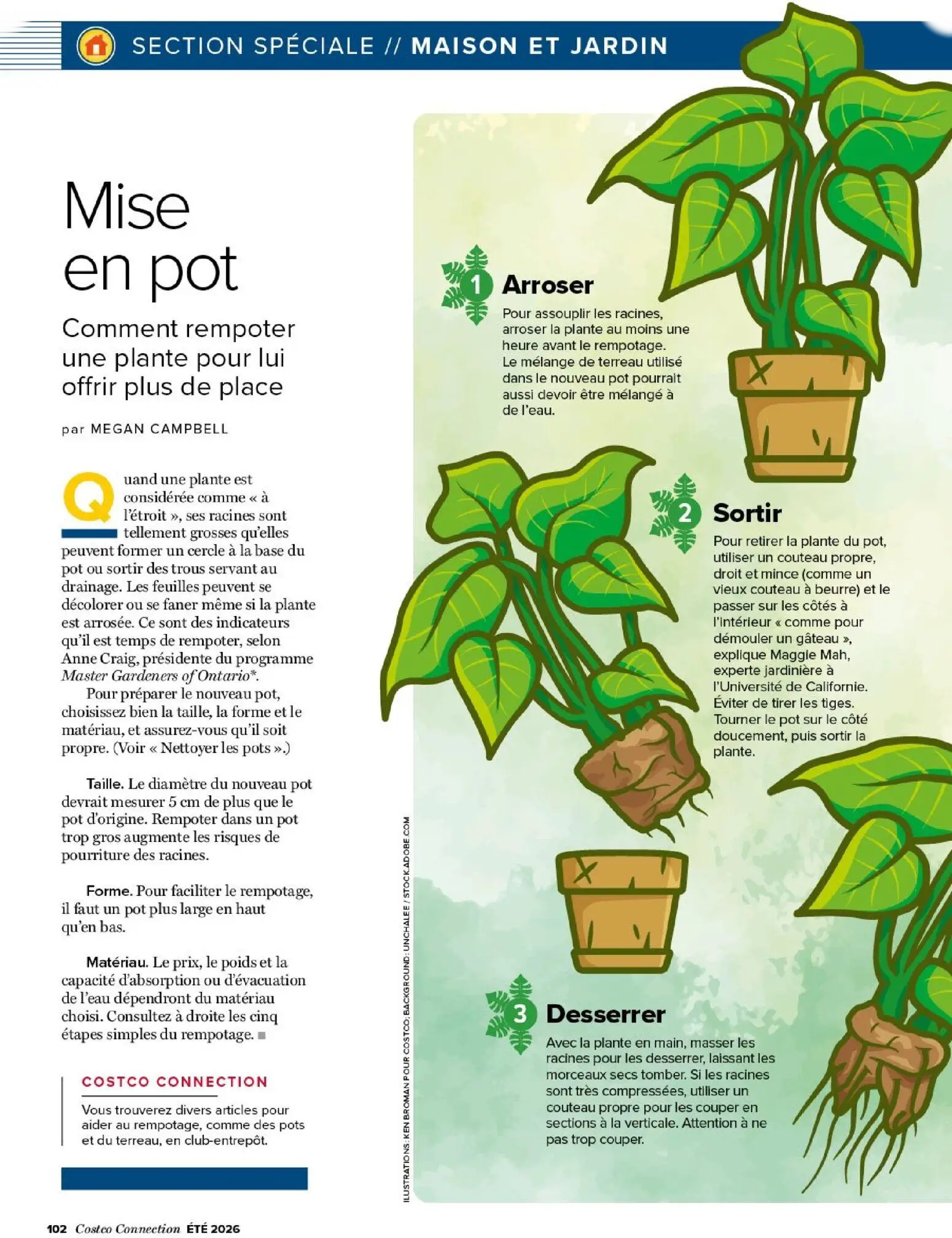  Catalog page 102 image 