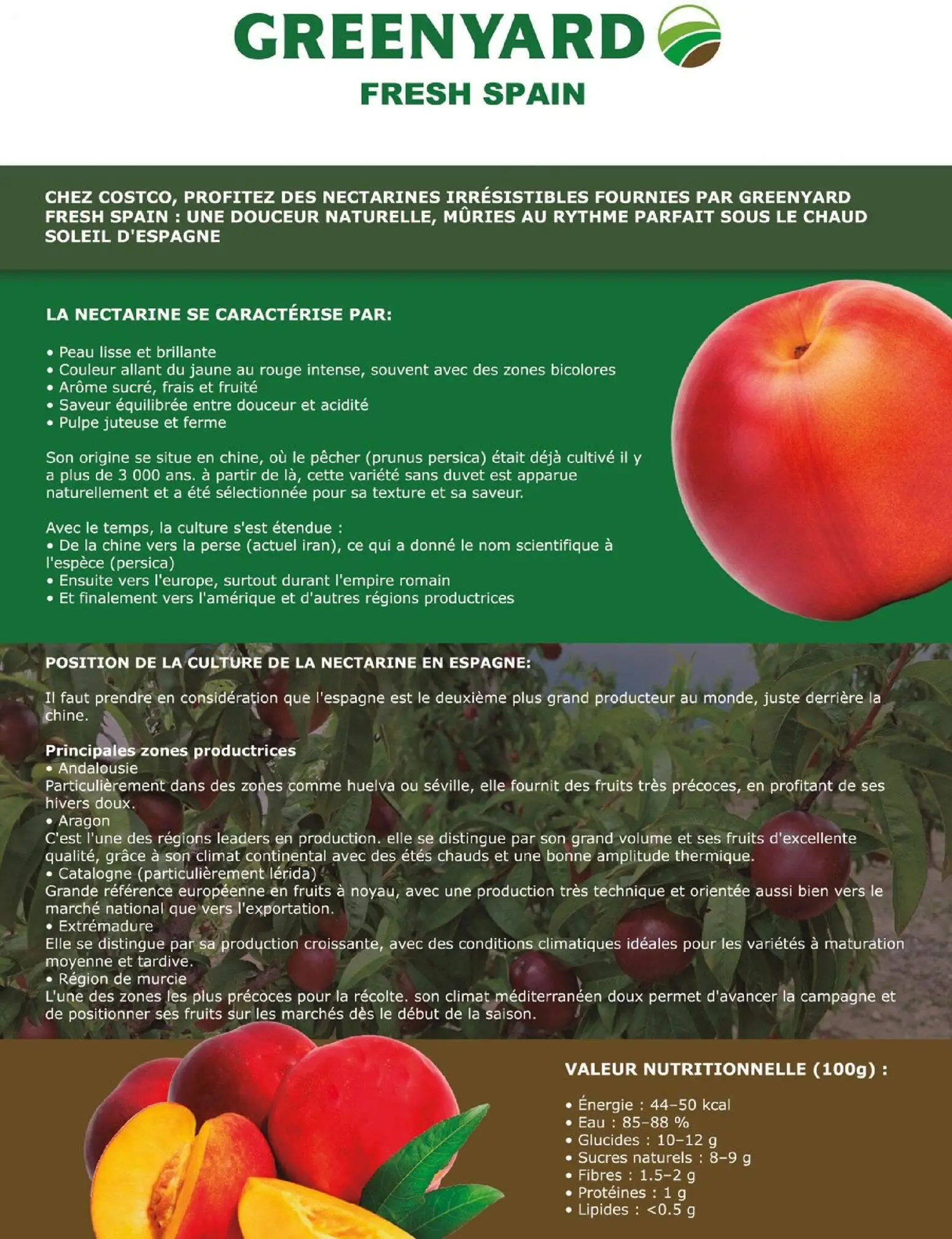  Catalog page 108 image 