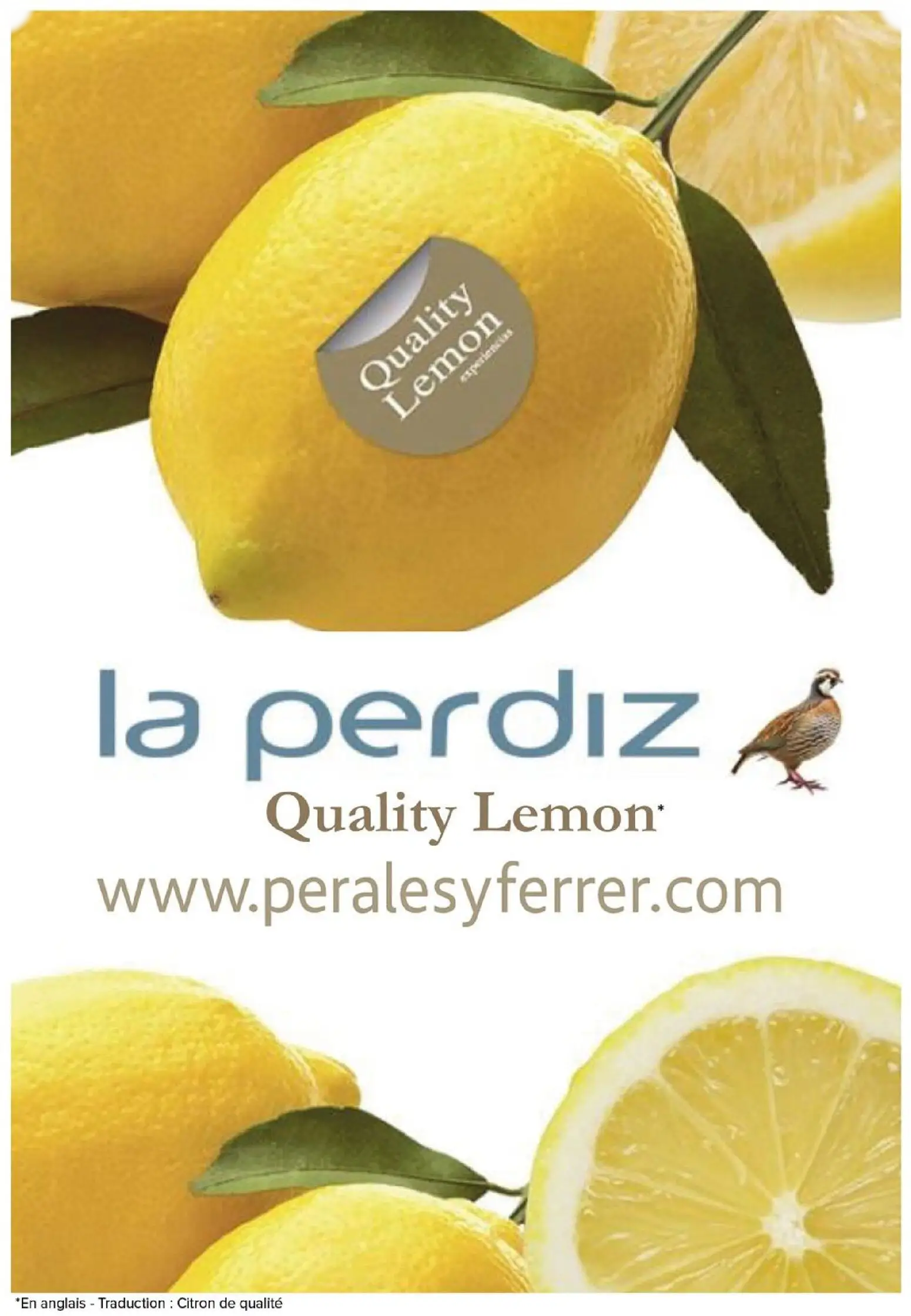  Catalog page 61 image 