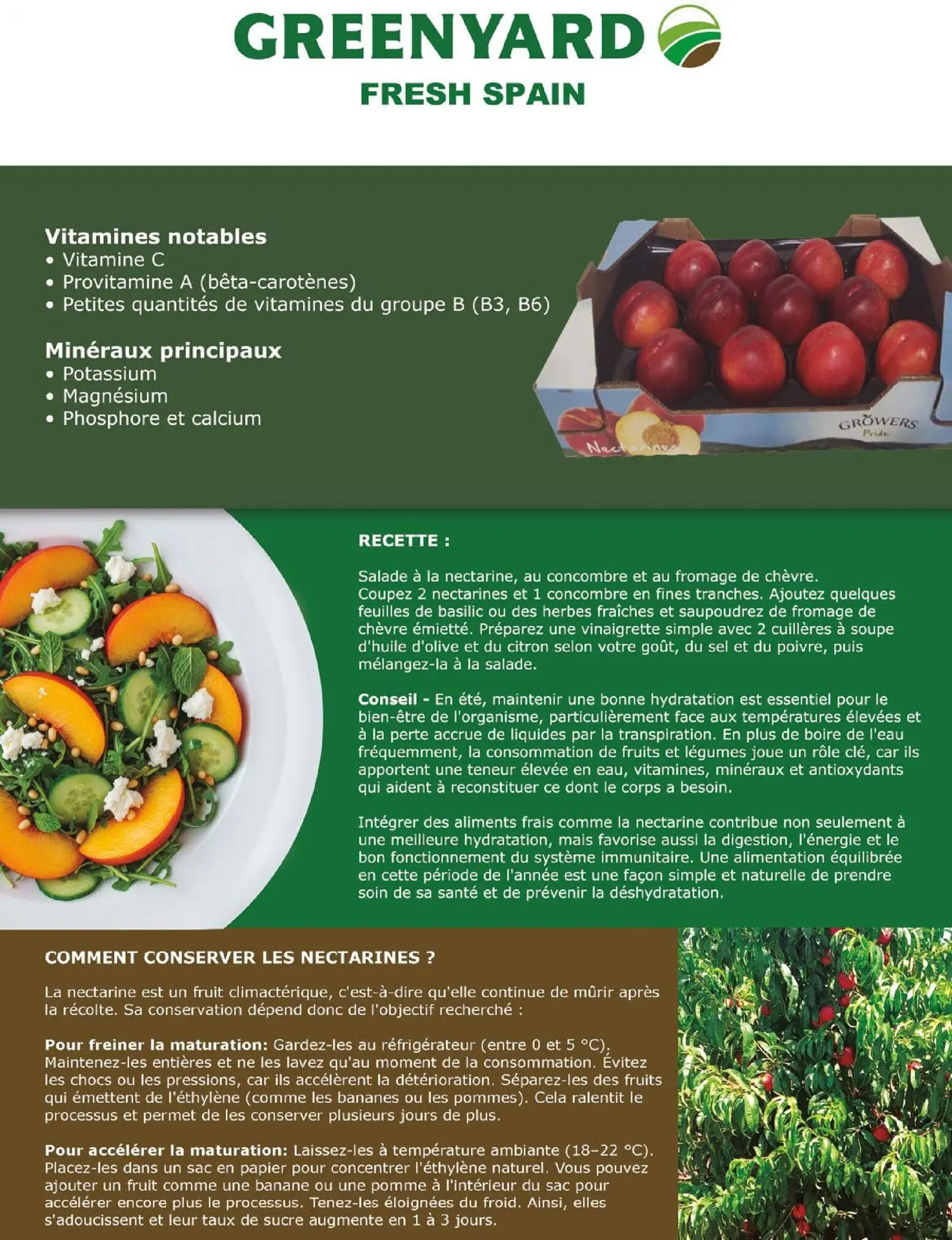  Catalog page 109 image 