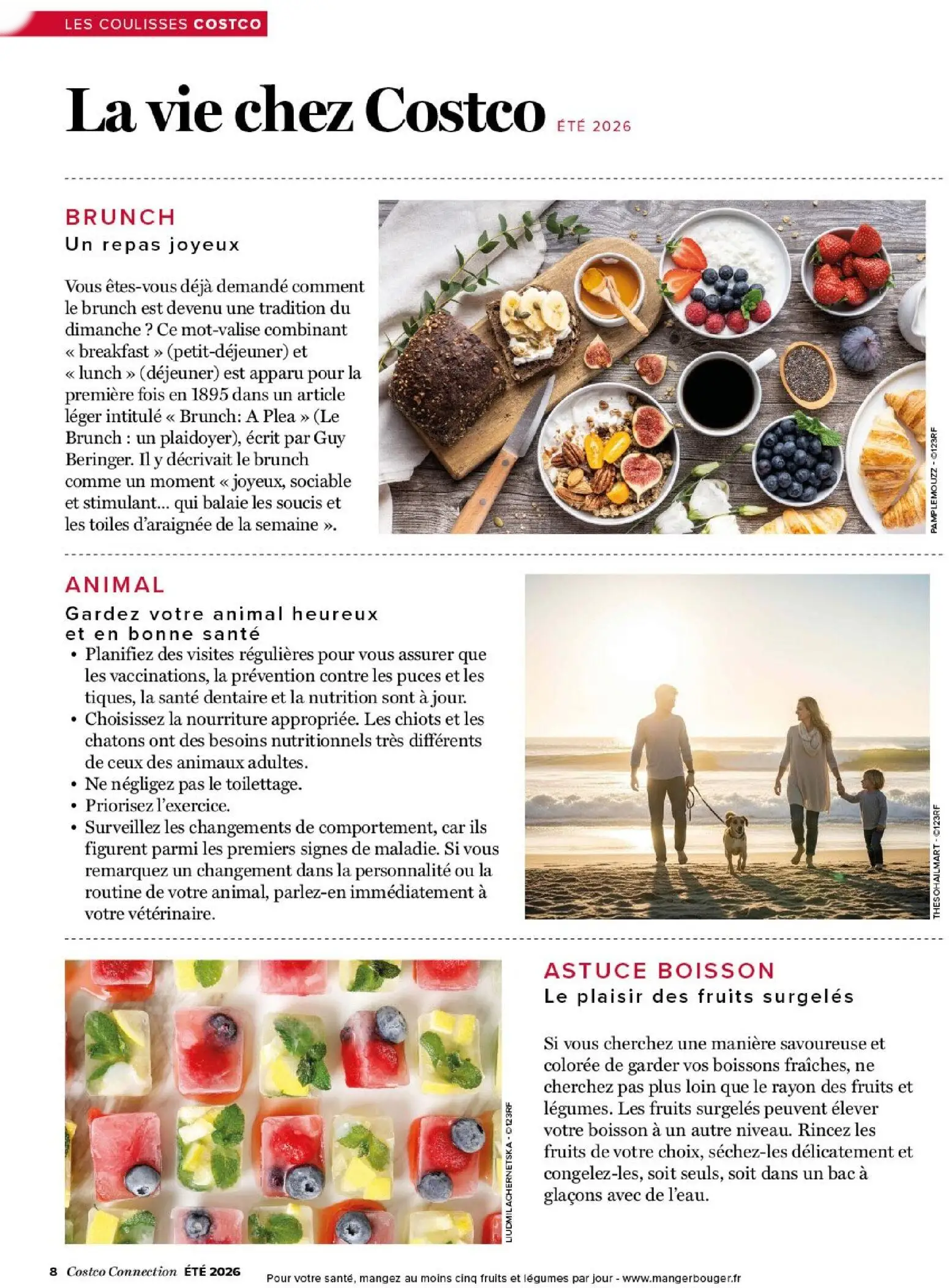  Catalog page 8 image 