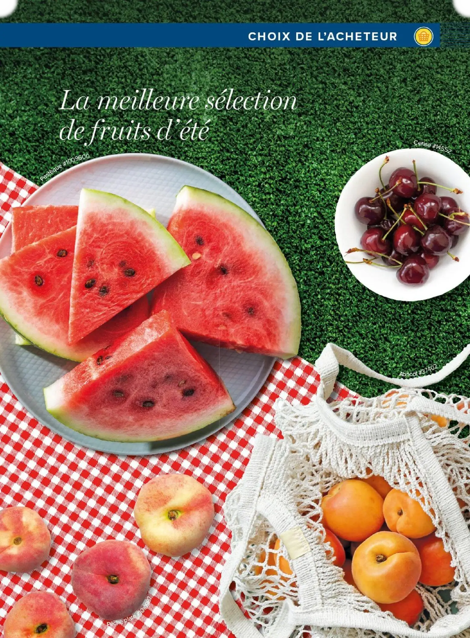  Catalog page 45 image 