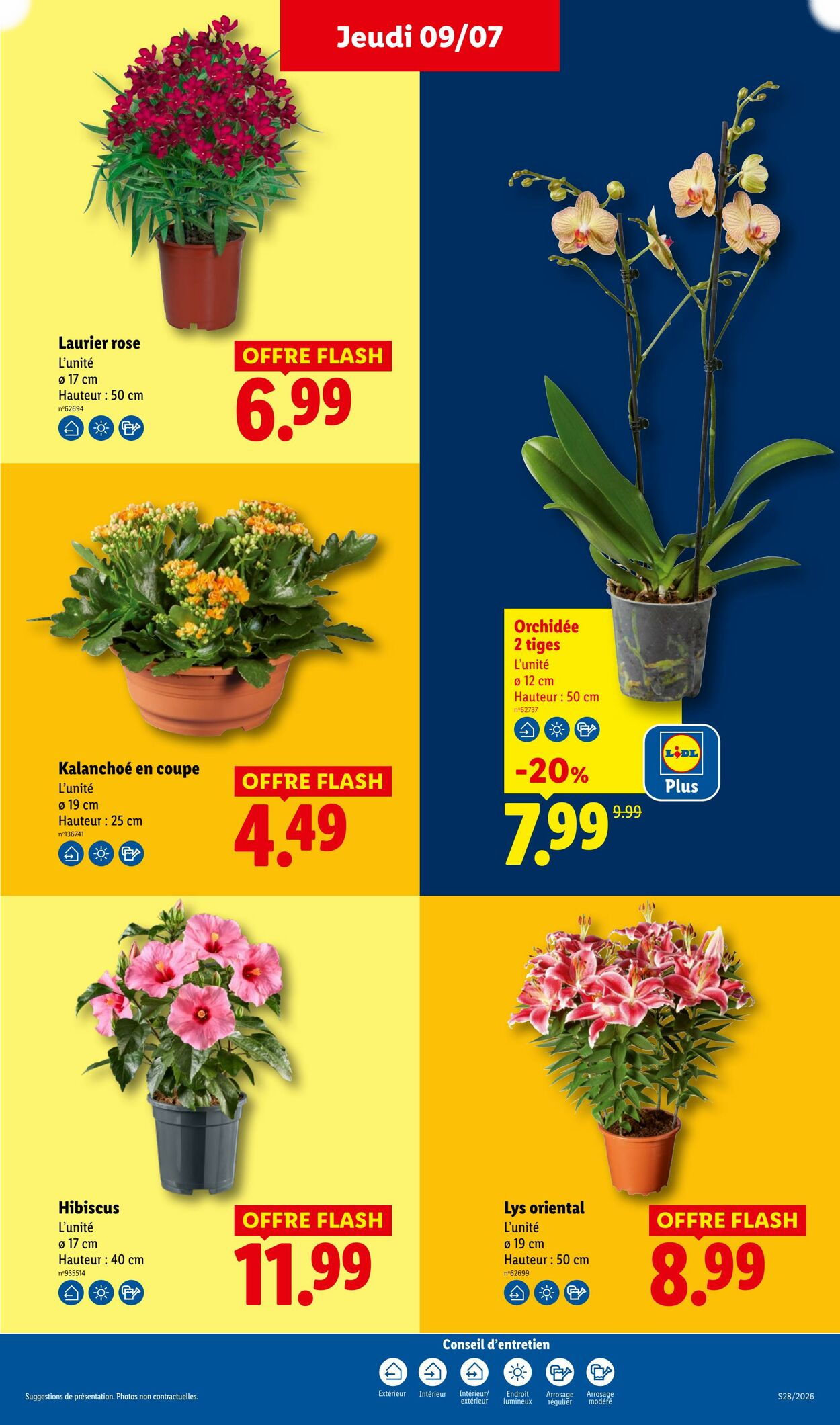 Lidl - Page 31