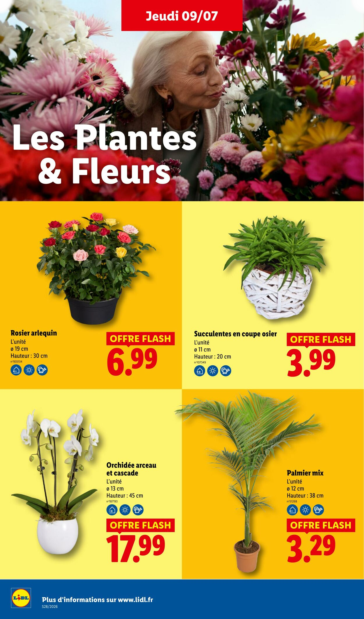 Lidl - Page 30