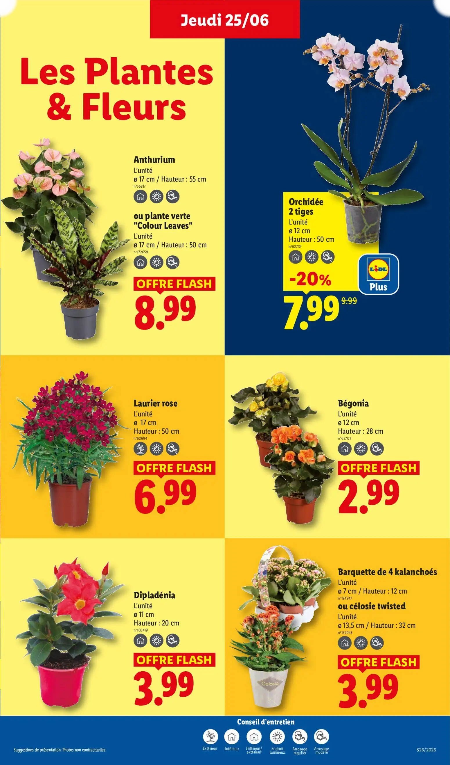  Catalog page 29 image 