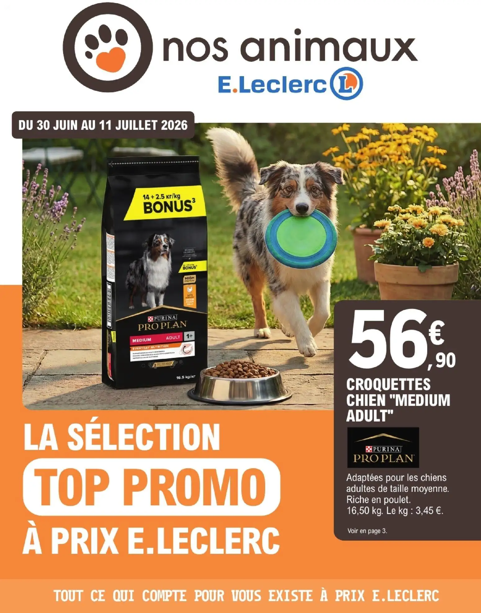  Catalog page 1 image 