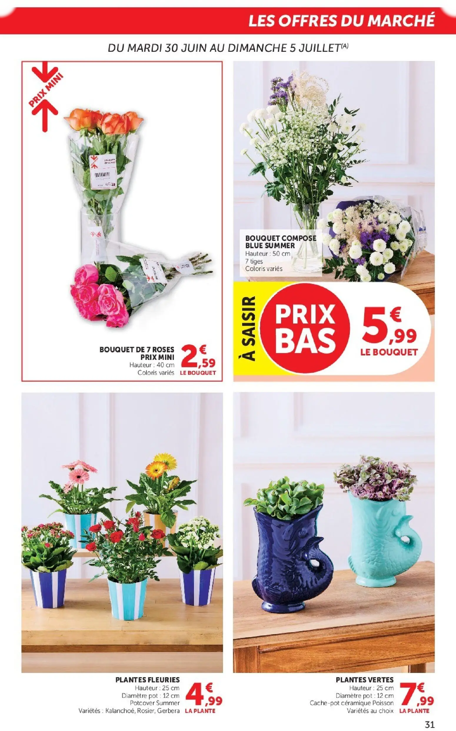  Catalog page 31 image 