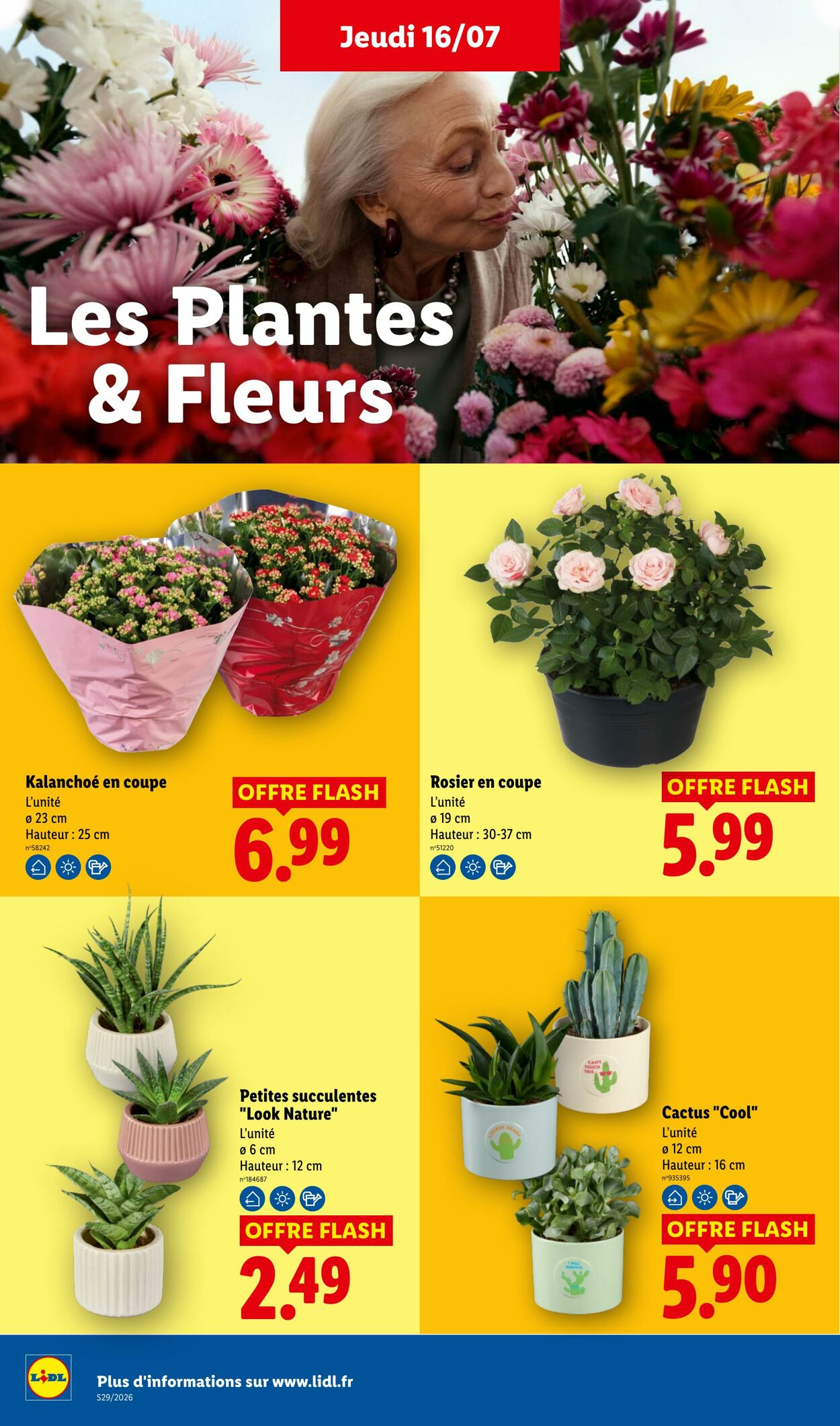 Lidl - Page 26