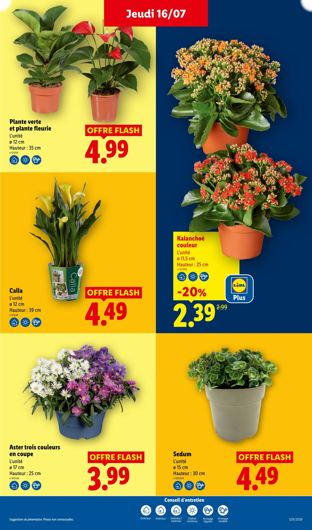 Lidl - Page 27