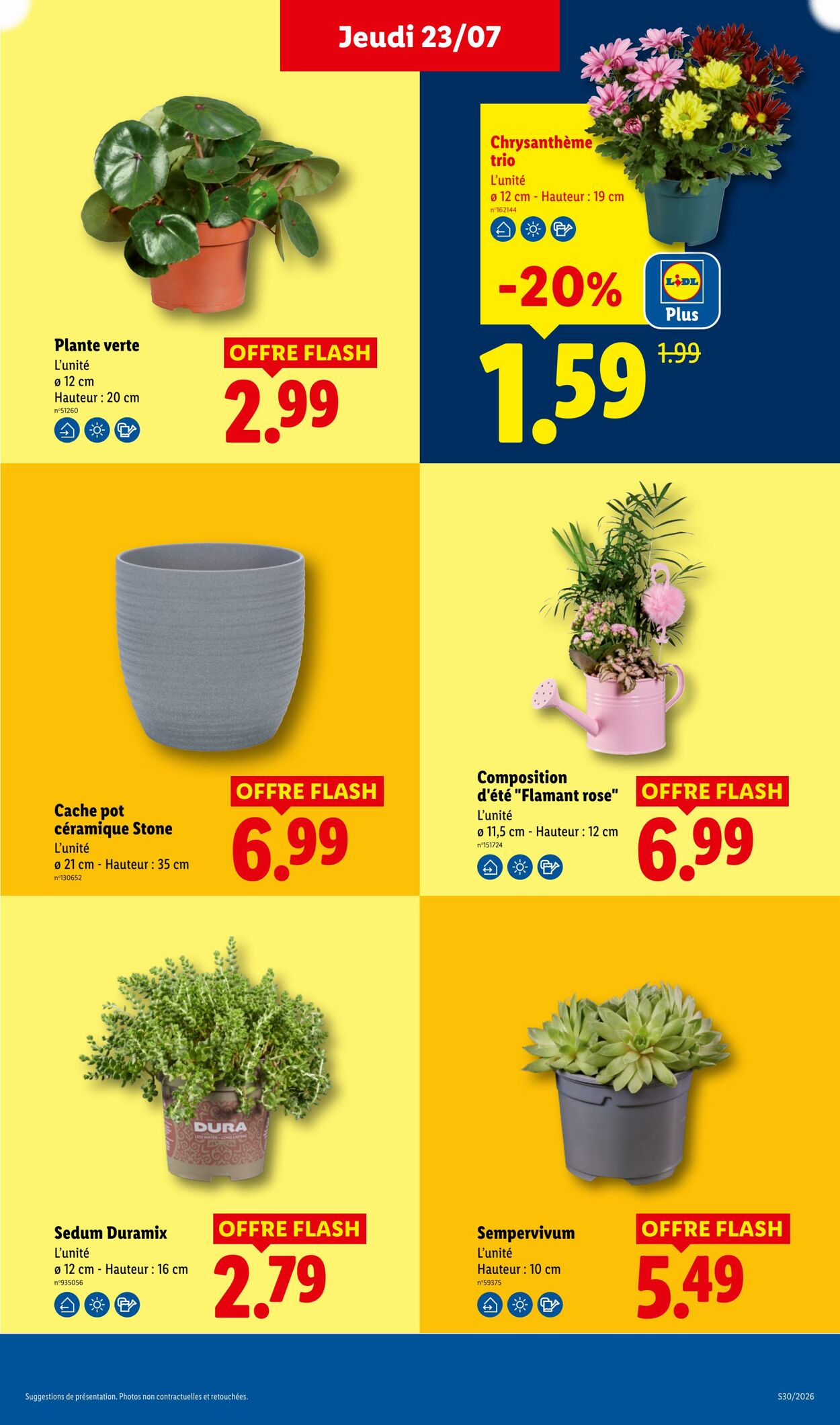  Catalog page 31 image 