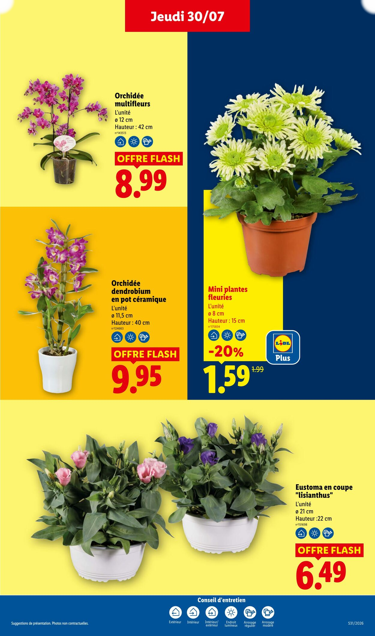 Lidl - Page 29
